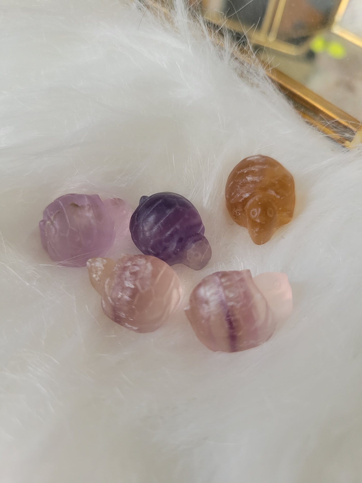 Mini Cute Fluorite Turtle Carvings