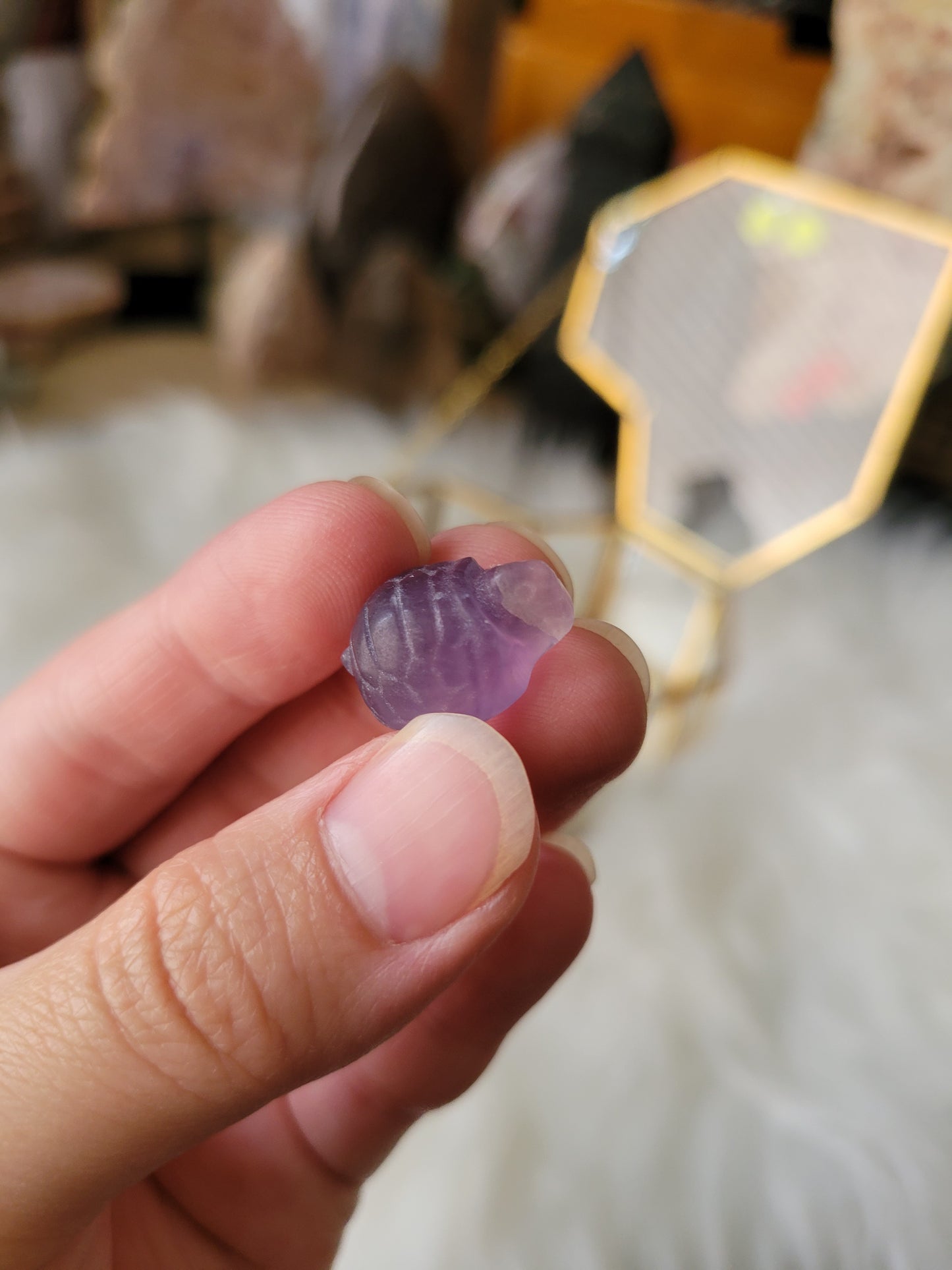 Mini Cute Fluorite Turtle Carvings