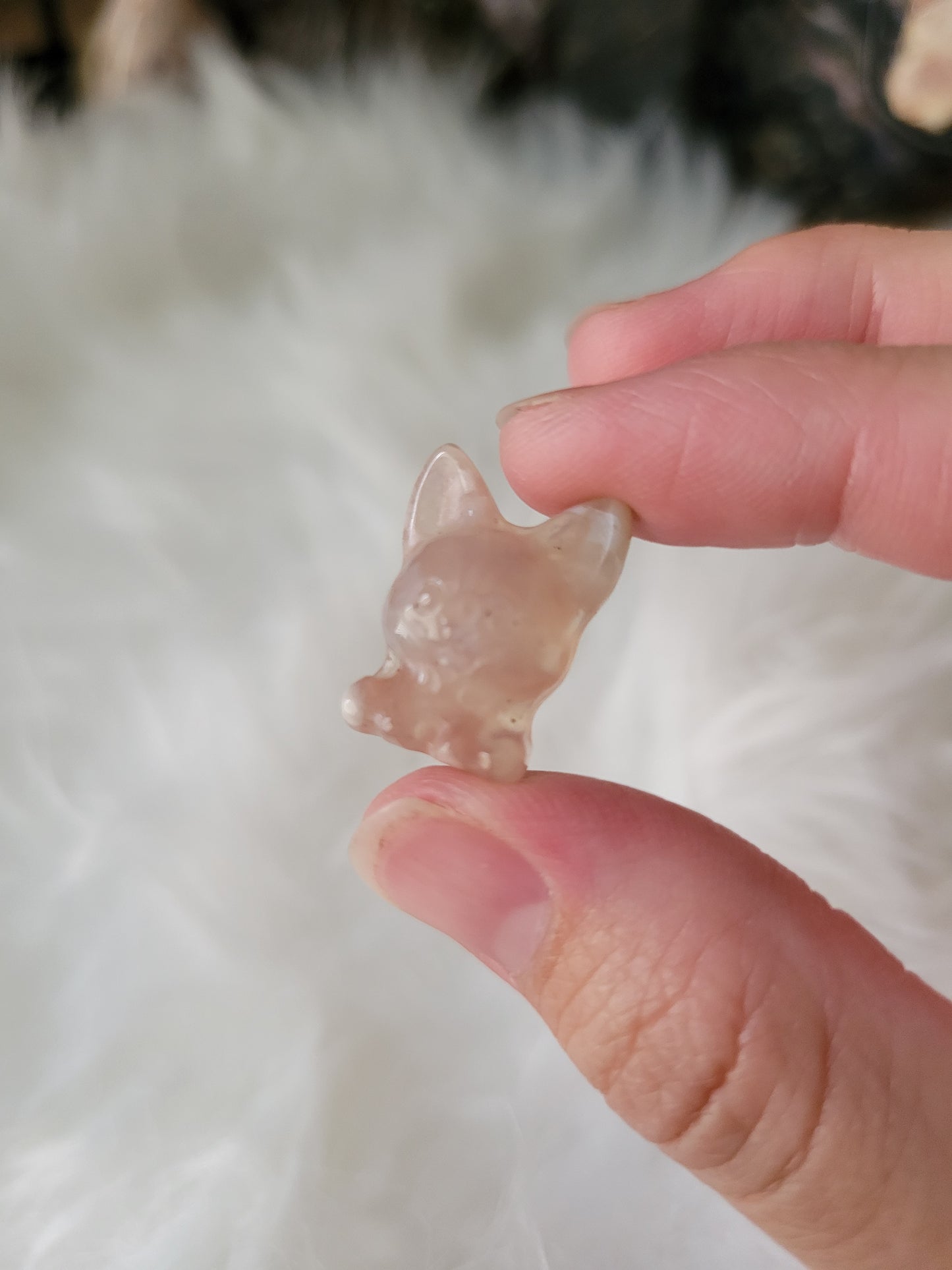 Super Cute Mini Flower Agate Puppy Dog Carving 10FD