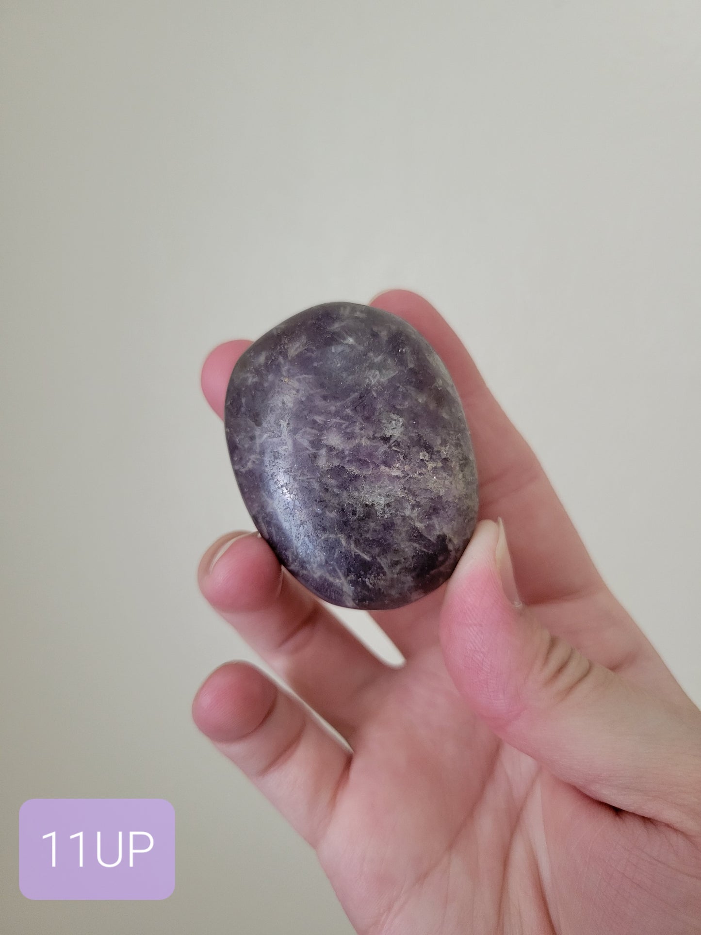 Dark Unicorn Stone Palm Stone Palmstone 11UP