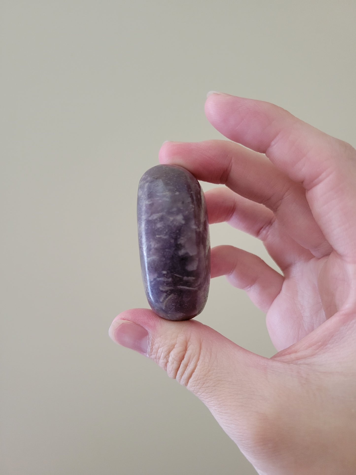 Dark Unicorn Stone Palm Stone Palmstone 11UP