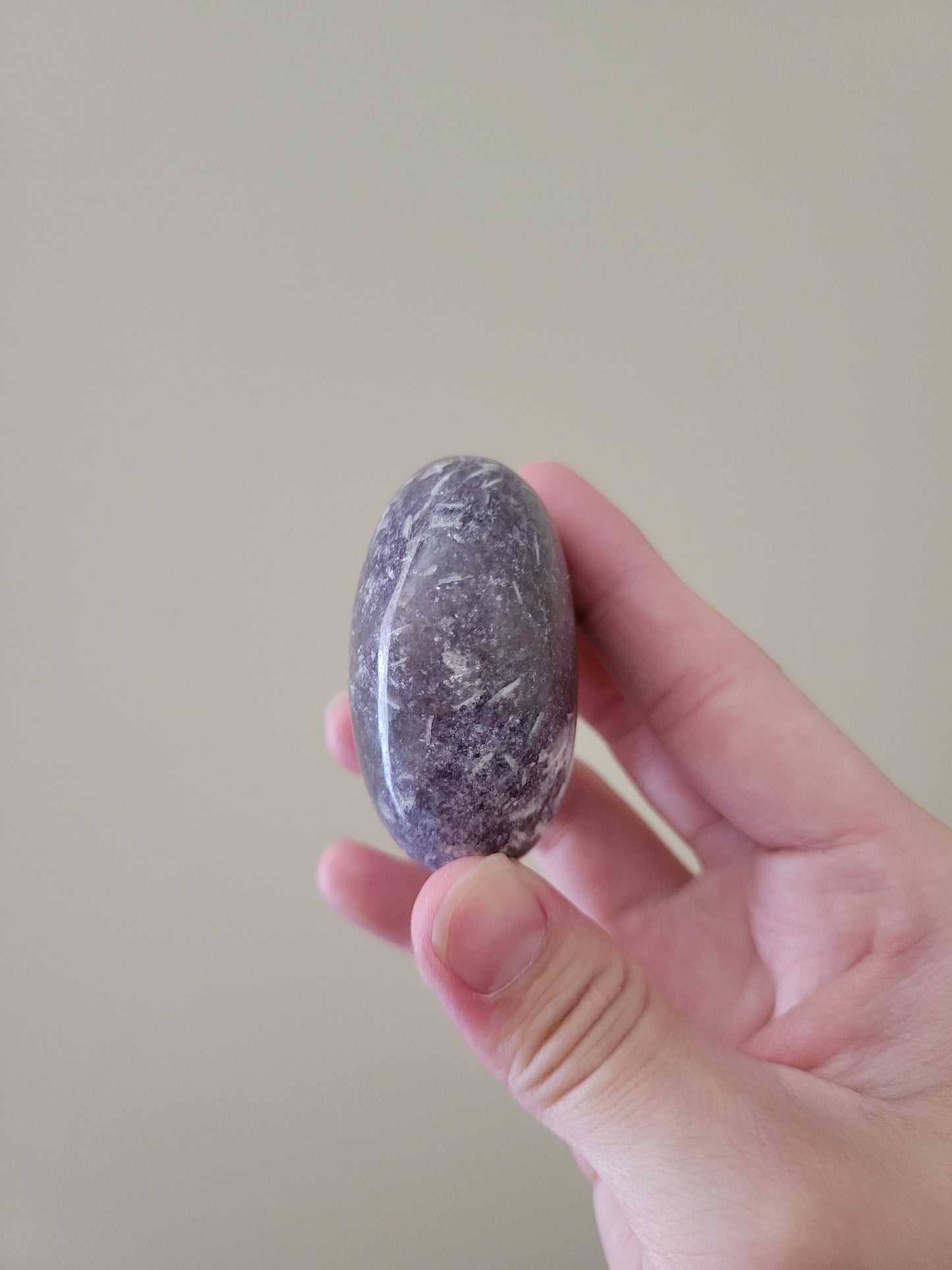 Healing Unicorn Stone Palm Stone Palmstone 13UP