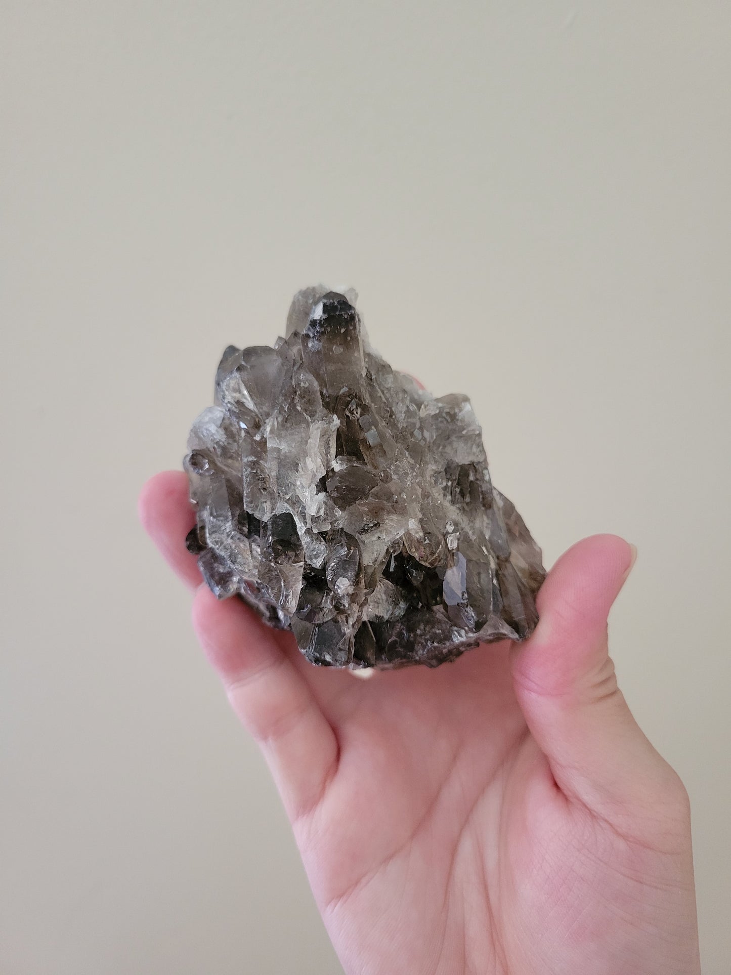 Smoky Quartz Cluster 22SC