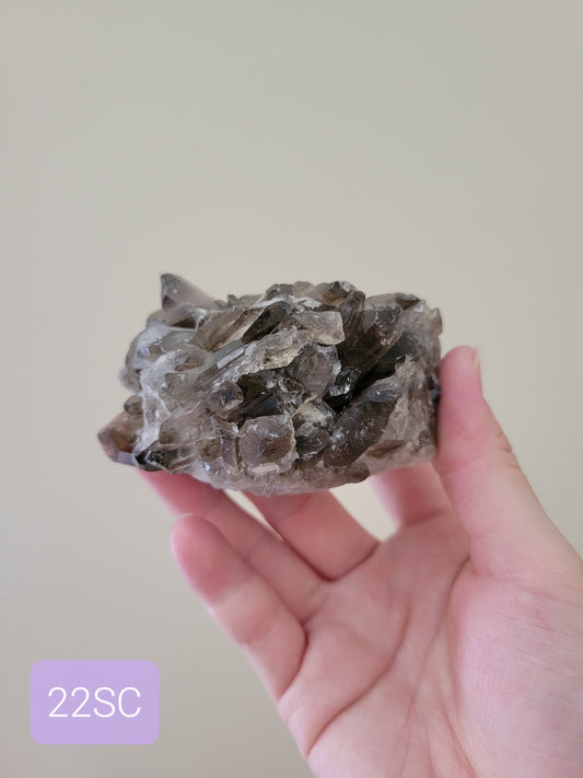 Smoky Quartz Cluster 22SC