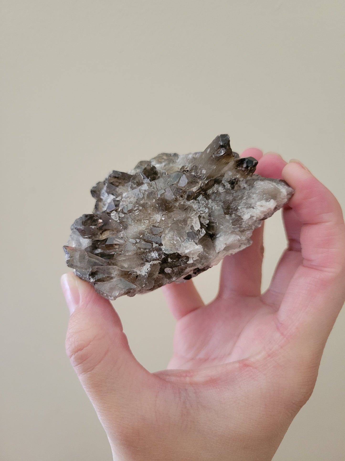 Smoky Quartz Cluster 22SC