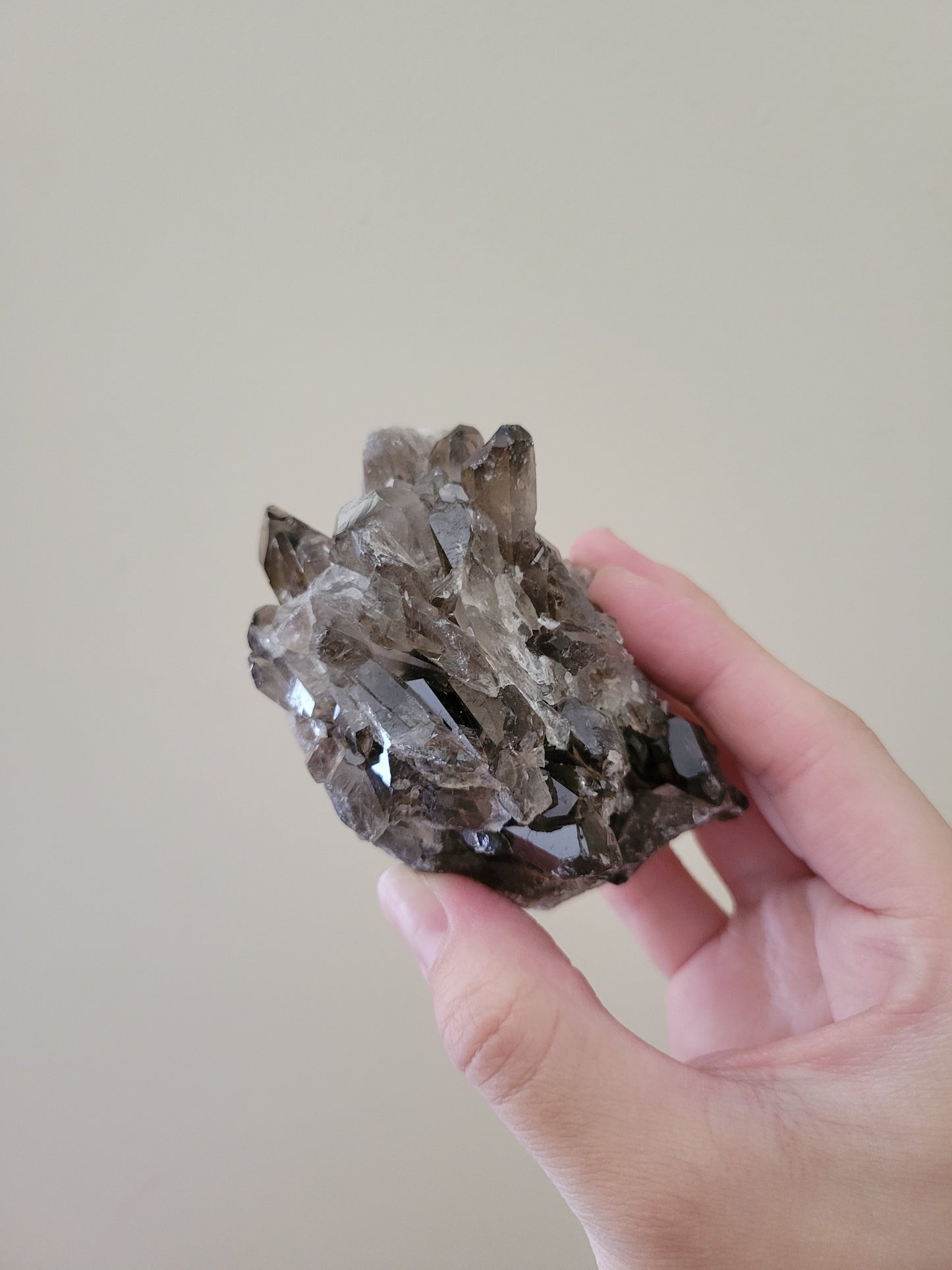 Smoky Quartz Cluster 22SC