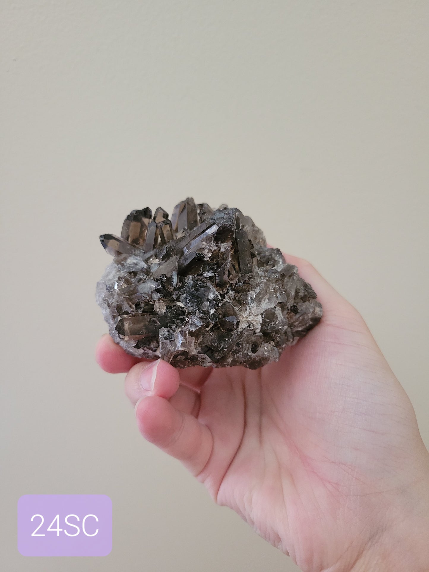 Dark Smoky Quartz Cluster 24SC