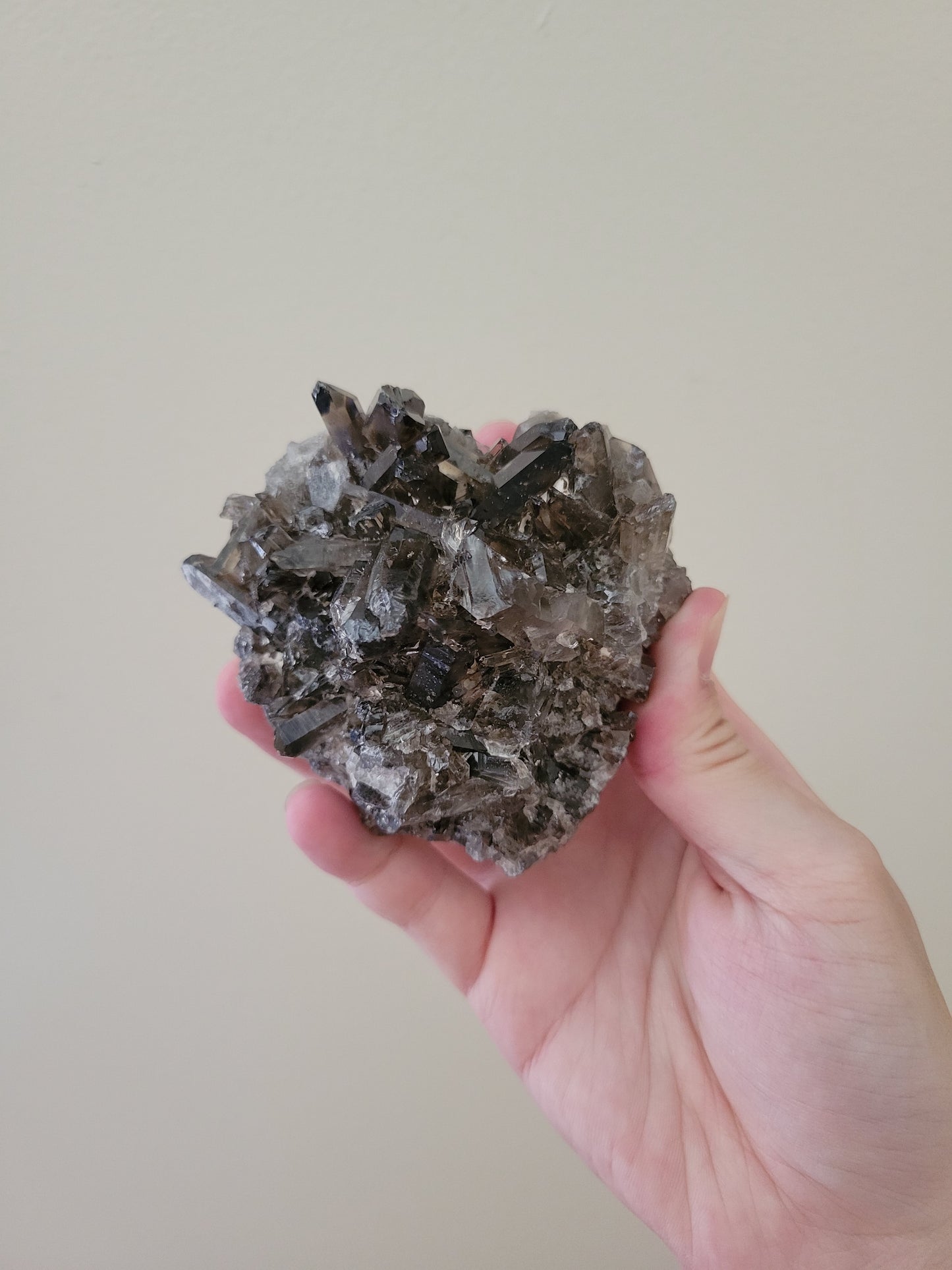 Dark Smoky Quartz Cluster 24SC