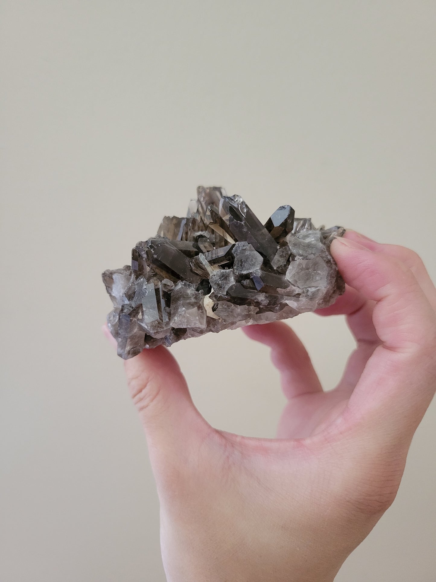 Dark Smoky Quartz Cluster 24SC