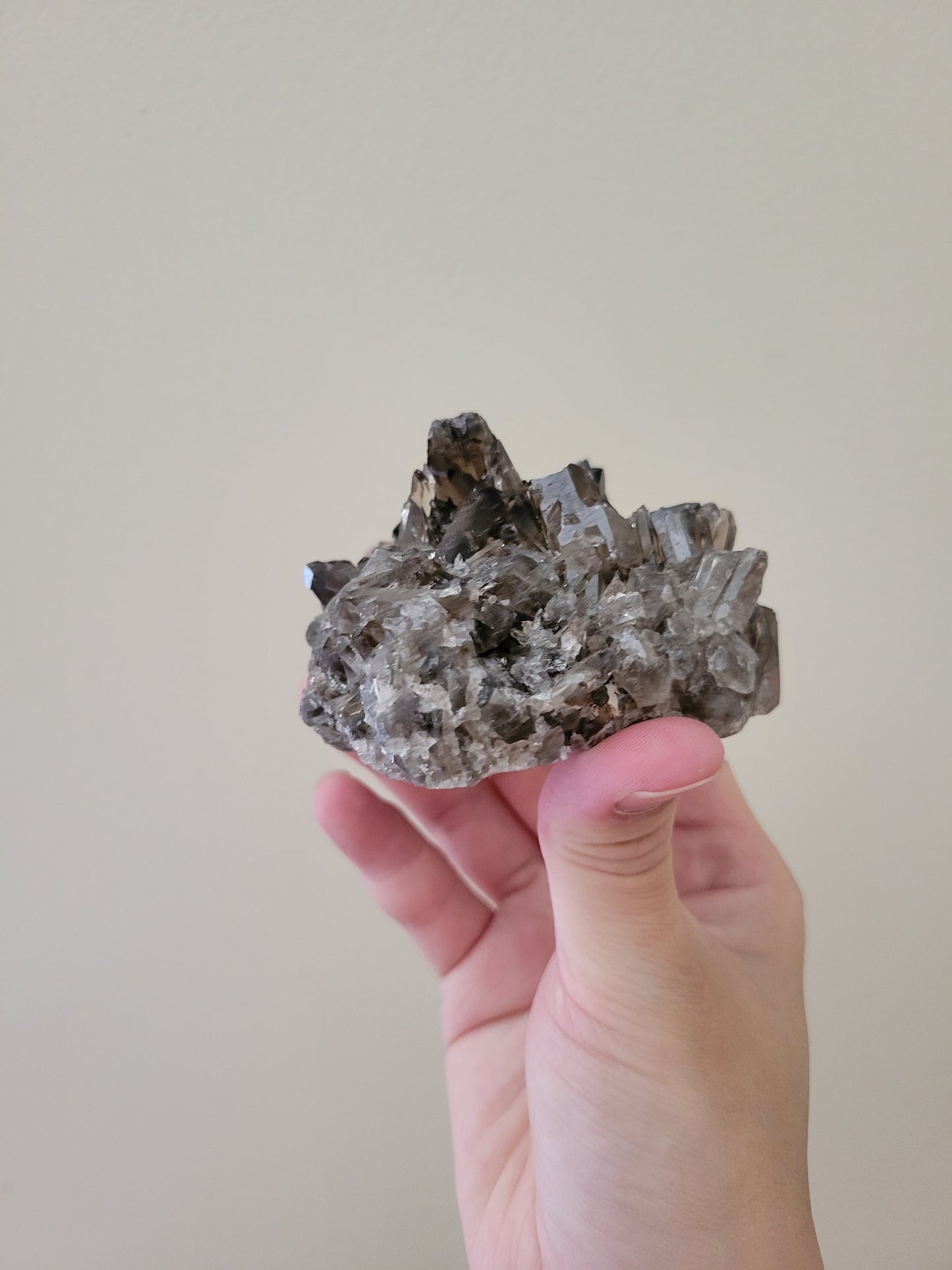 Dark Smoky Quartz Cluster 24SC