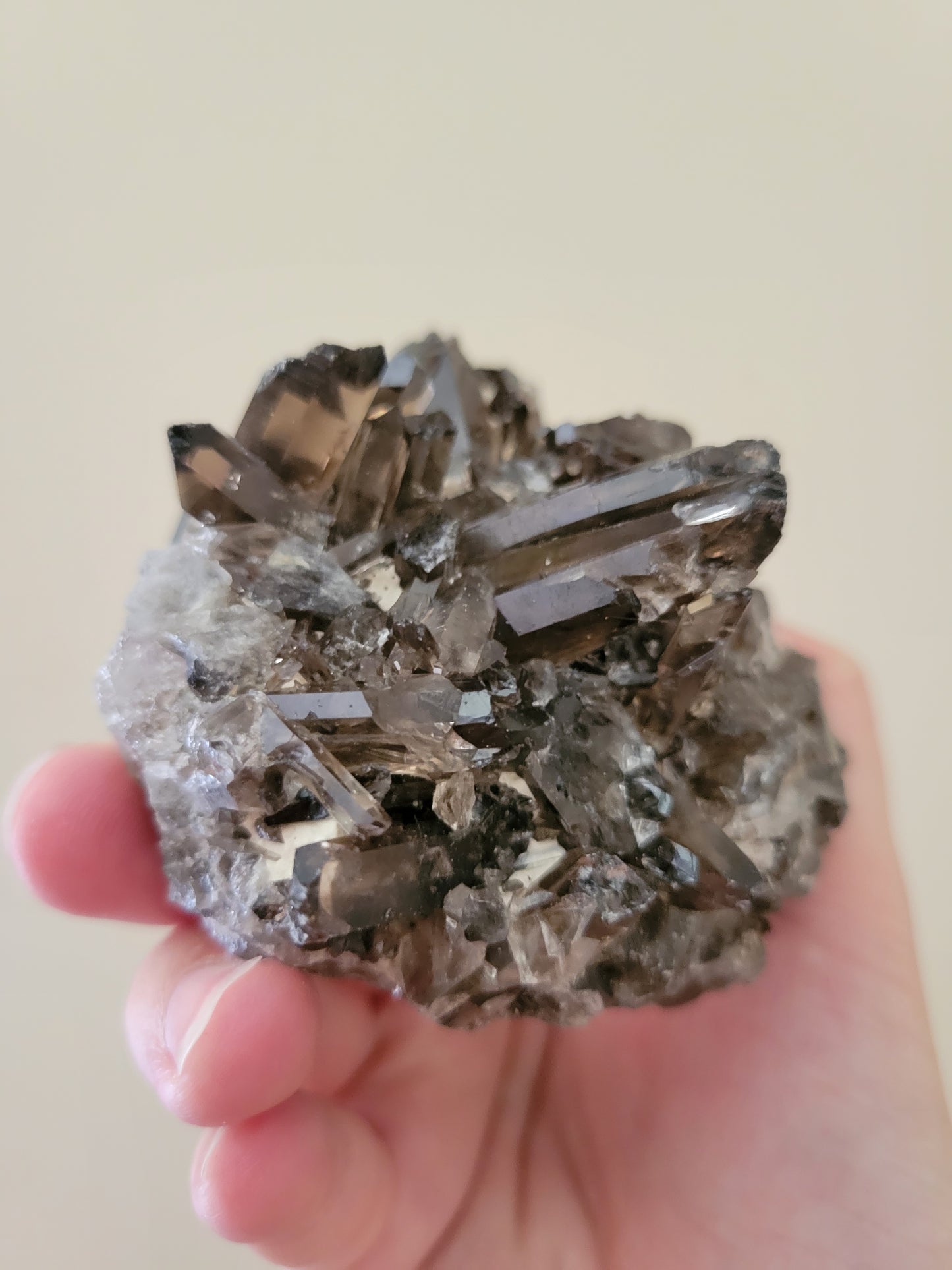 Dark Smoky Quartz Cluster 24SC