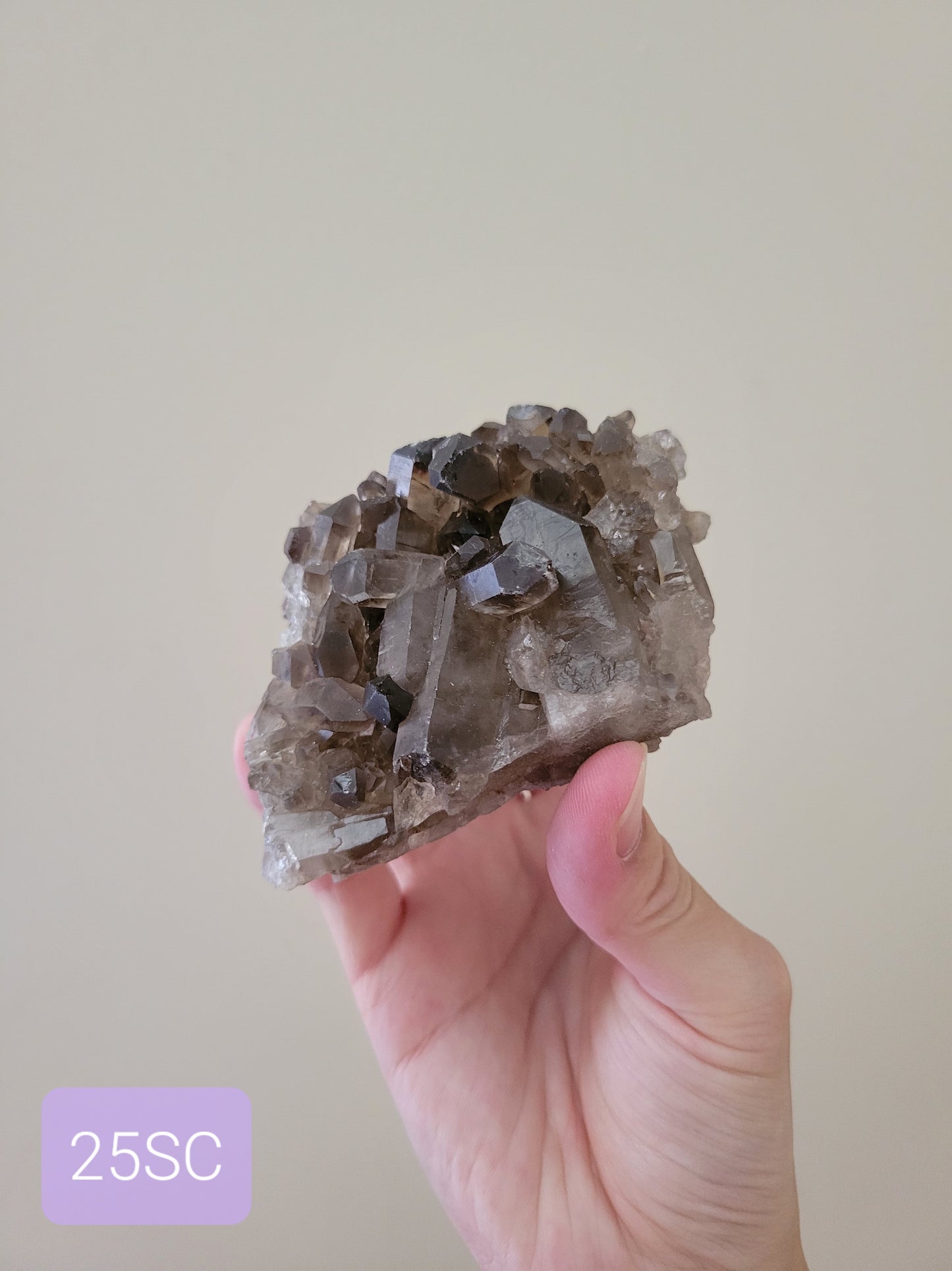 Cleansing Smoky Quartz Cluster 25SC