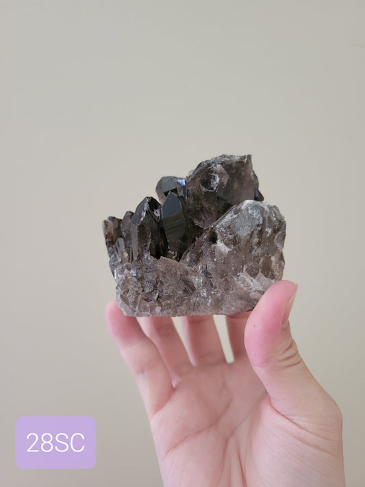 Beautiful Raw Smoky Quartz Cluster 28SC