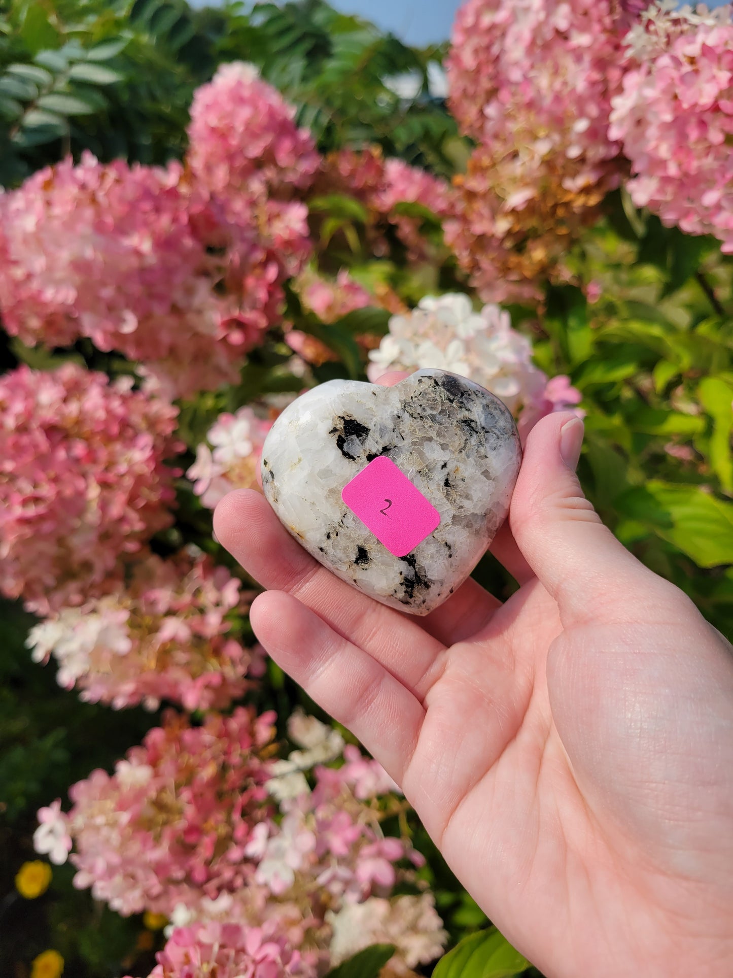 Low Flash Rainbow Moonstone Heart Carving 11MS