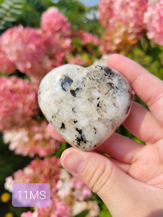 Low Flash Rainbow Moonstone Heart Carving 11MS