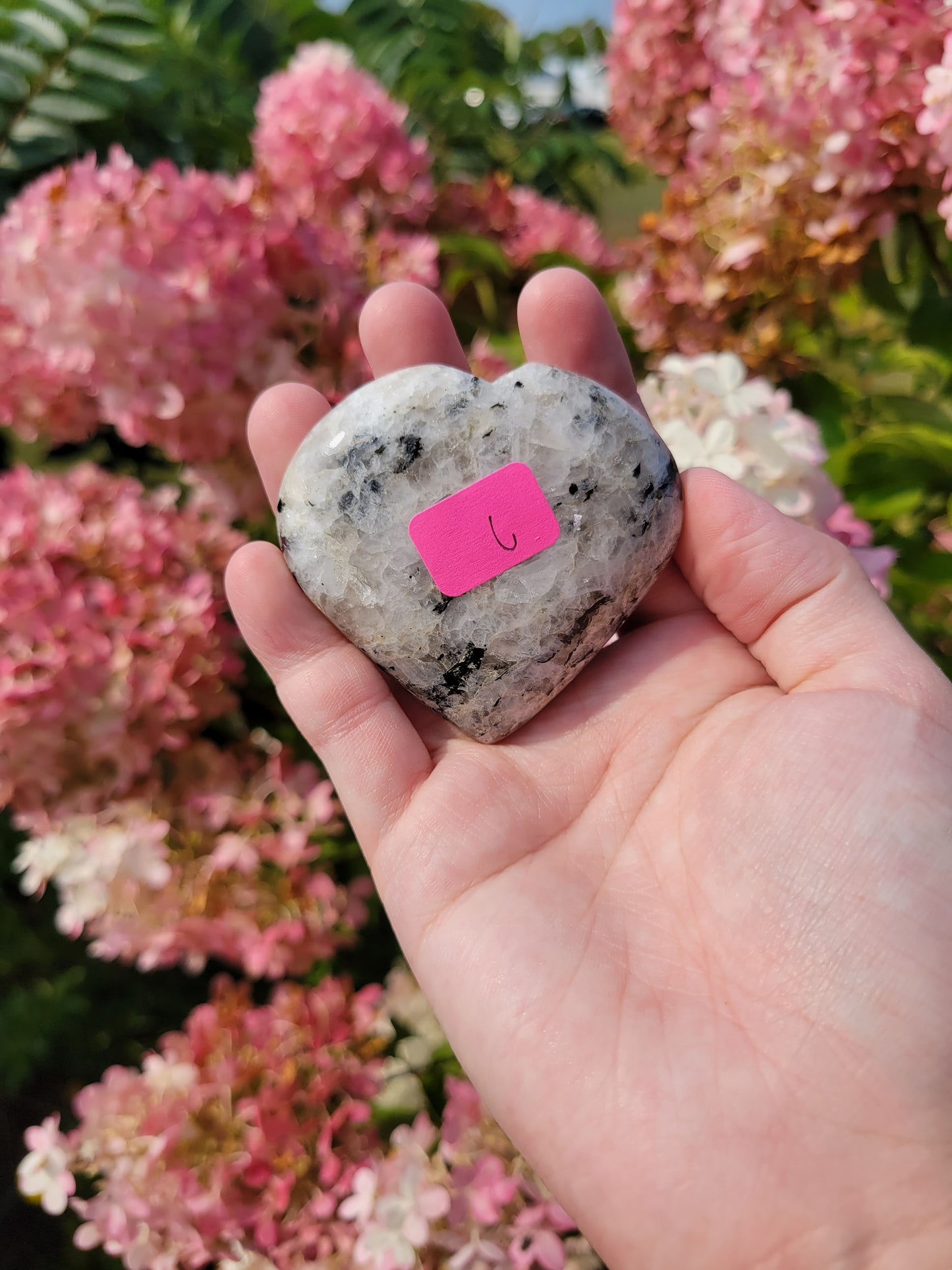 Rainbow Moonstone Heart Carving 11MW