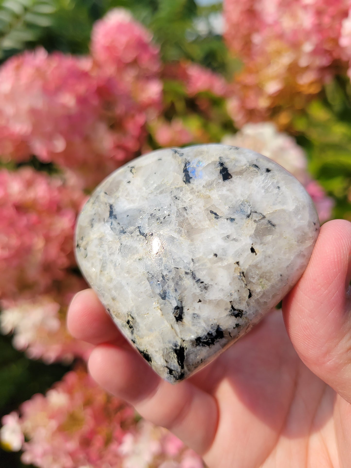 Rainbow Moonstone Heart Carving 11MW