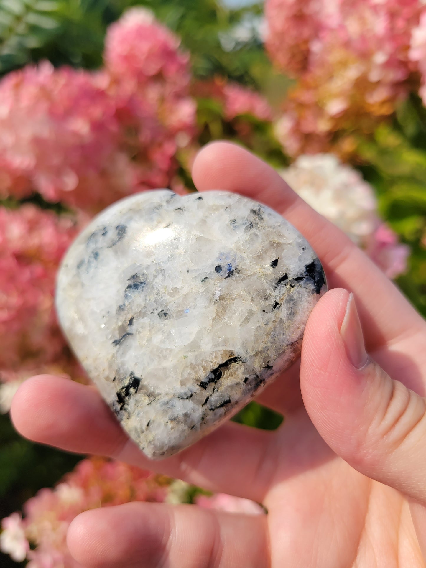 Rainbow Moonstone Heart Carving 11MW