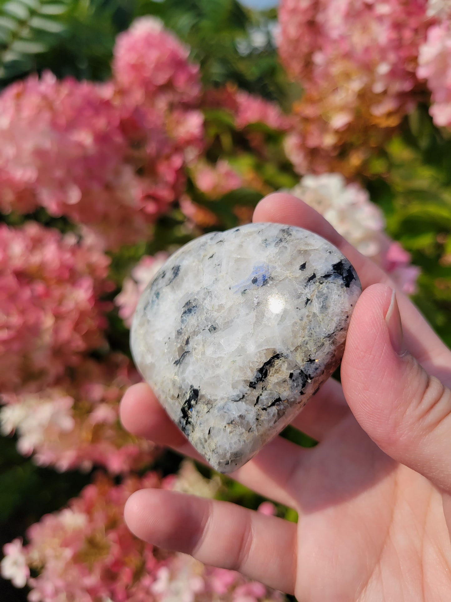 Rainbow Moonstone Heart Carving 11MW