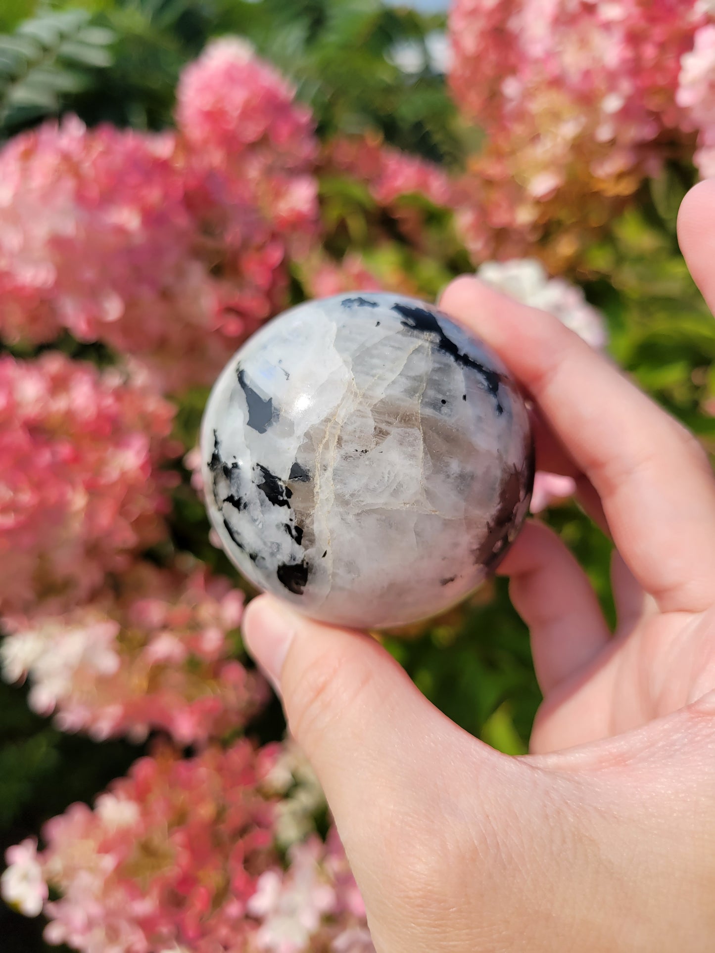 Rainbow Moonstone Sphere 25MM