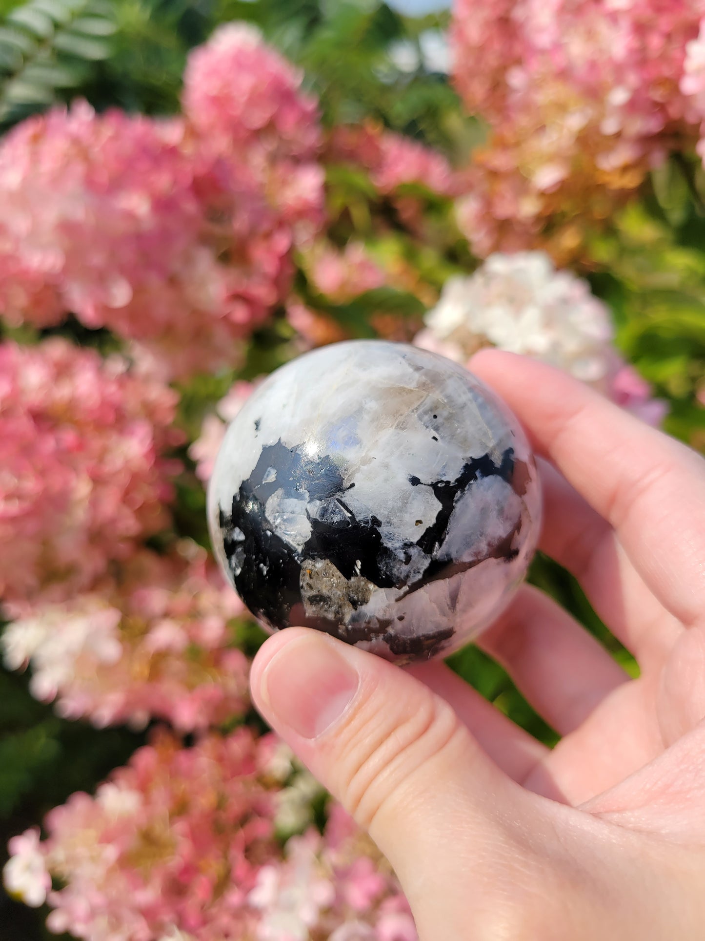 Rainbow Moonstone Sphere 25MM