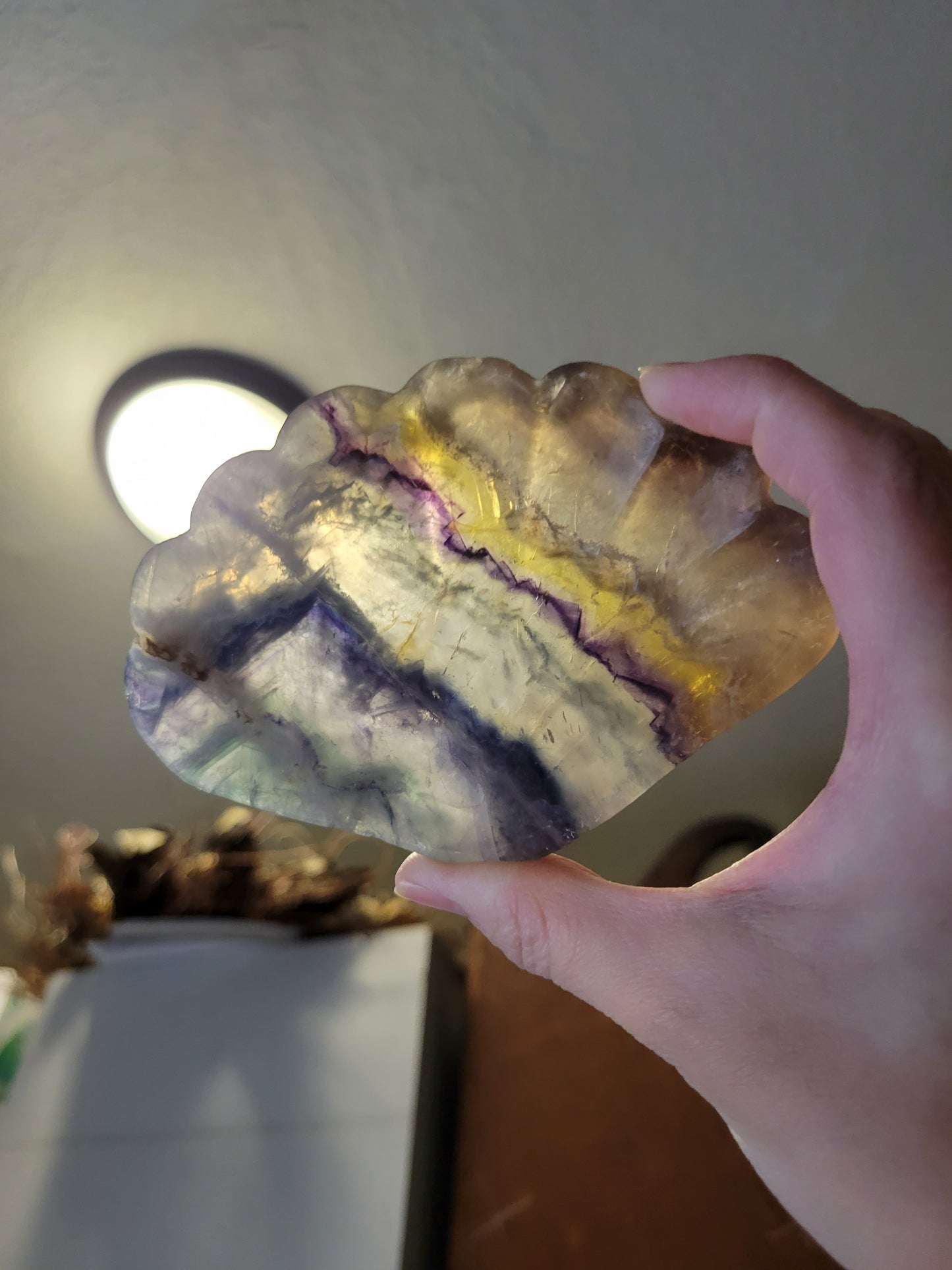 Colorful Fluorite Shell Dish 30FU