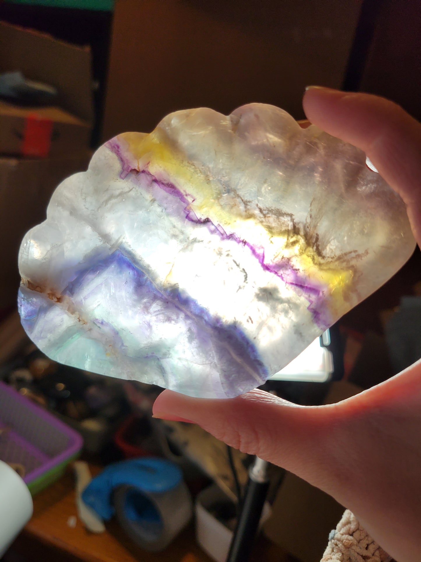 Colorful Fluorite Shell Dish 30FU