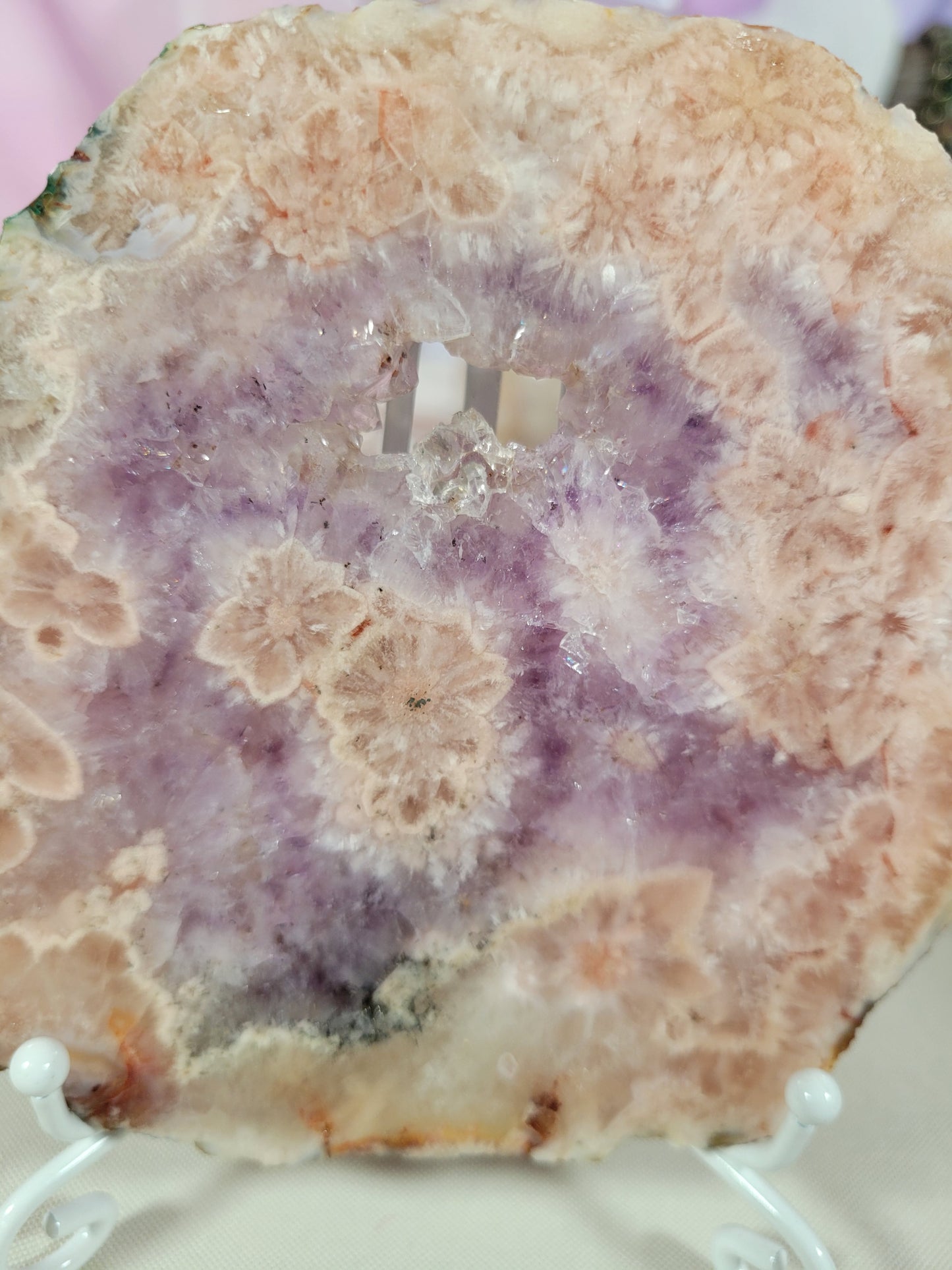 Pink Amethyst Flower Agate Slab 125P