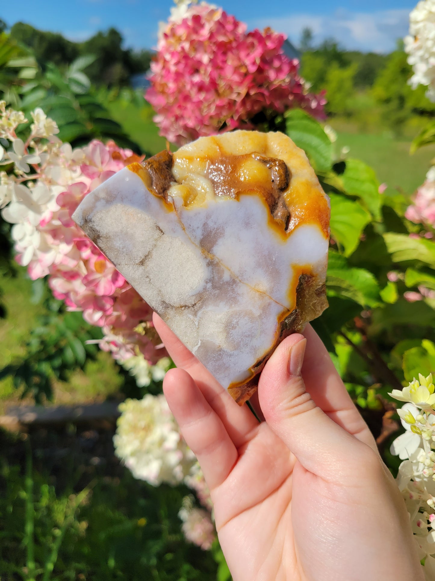 Blue Flower Agate Slab 30BU