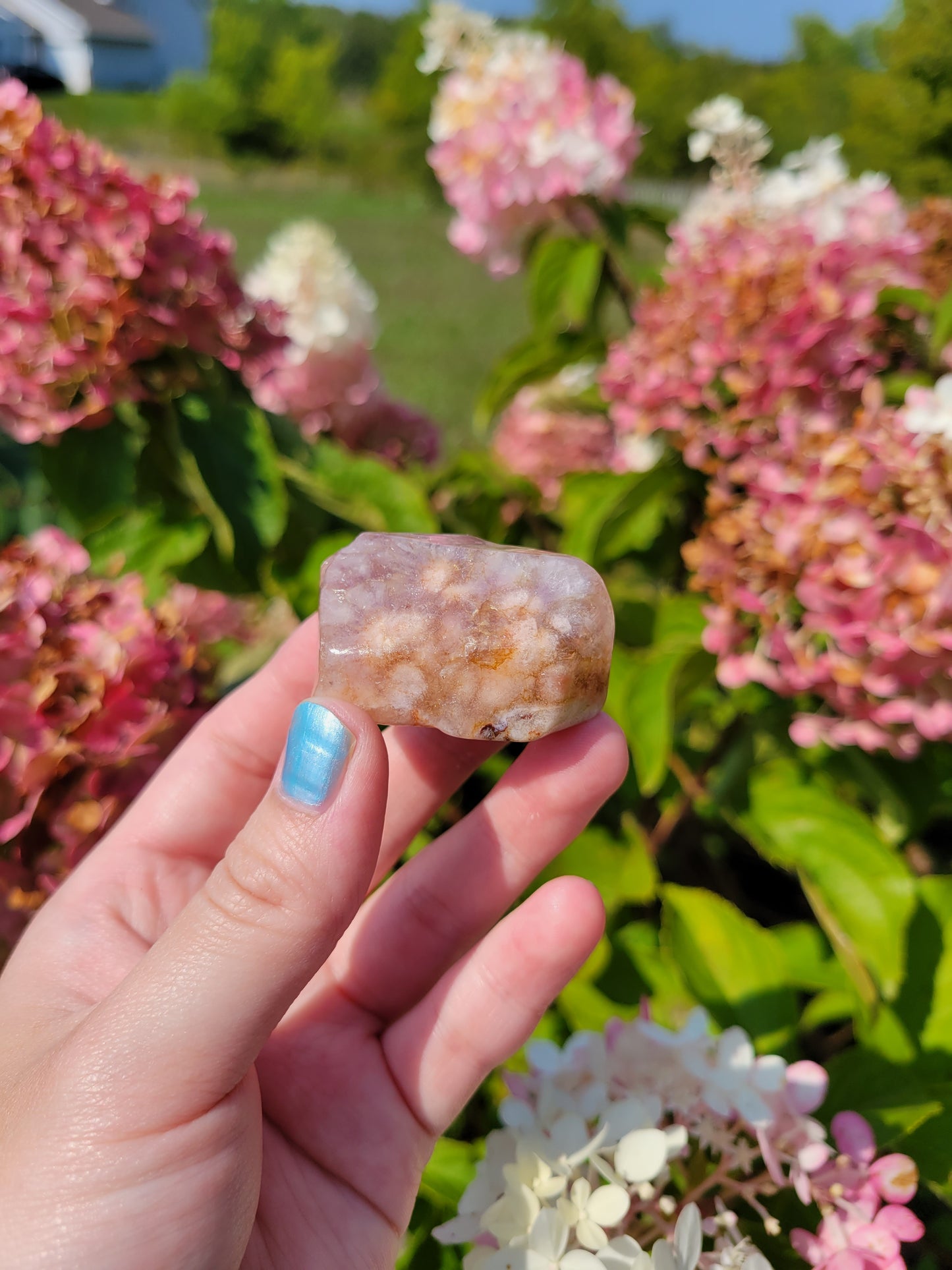 Small Pink Amethyst Flower Agate Freeform 12FF