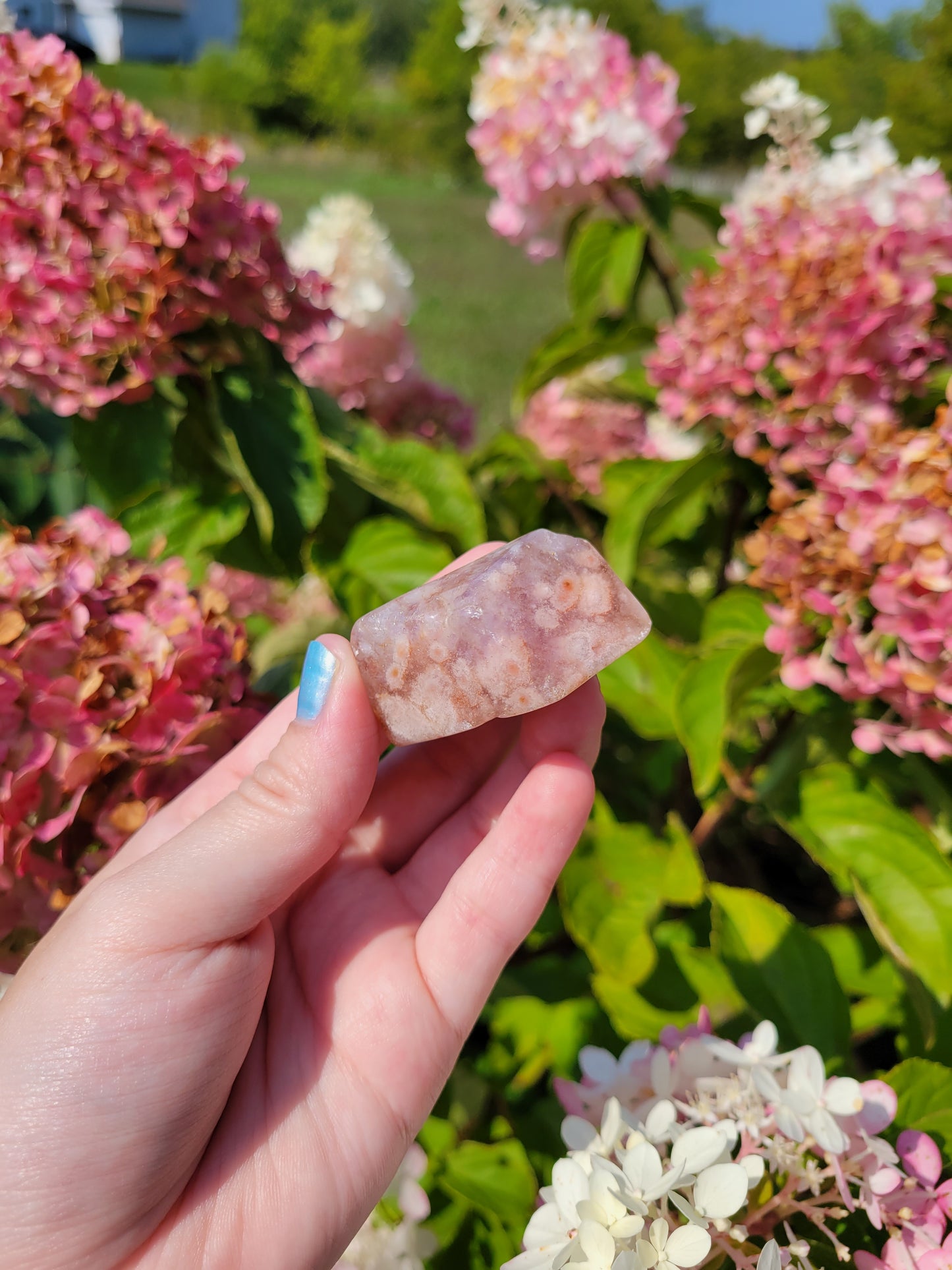 Small Pink Amethyst Flower Agate Freeform 12FF