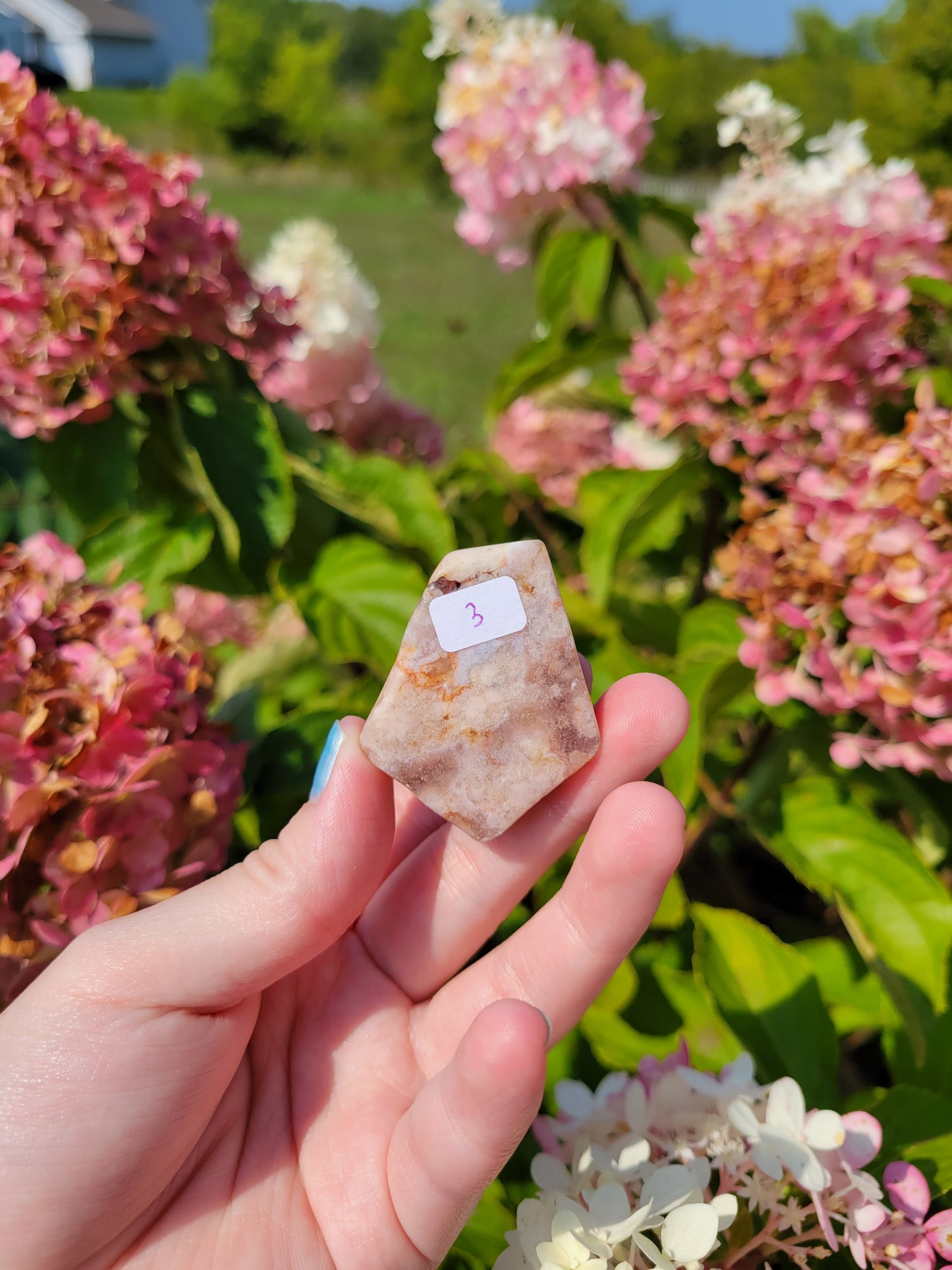 Small Pink Amethyst Flower Agate Freeform 12FF