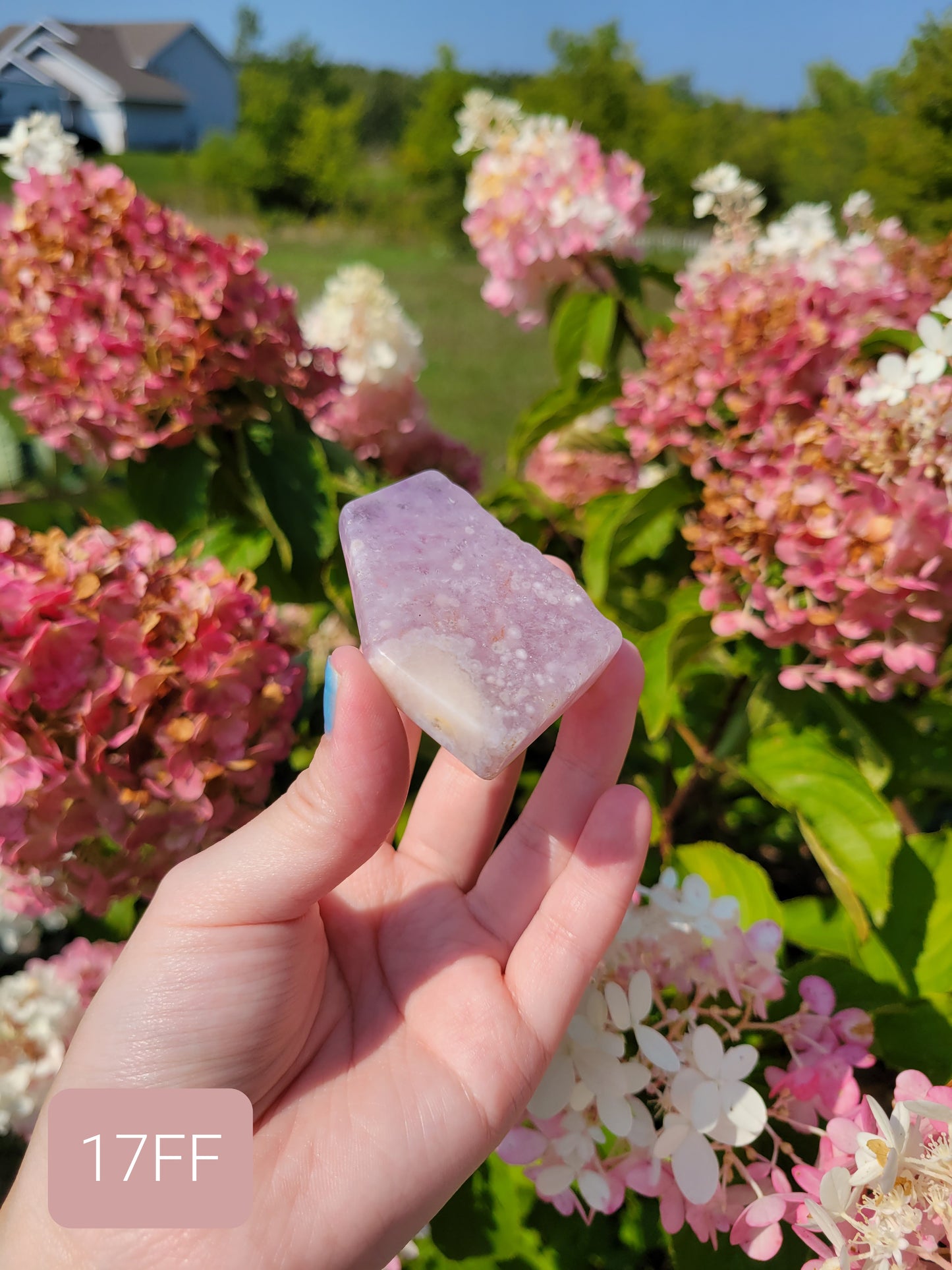 Pink Amethyst Flower Agate Freeform 17FF