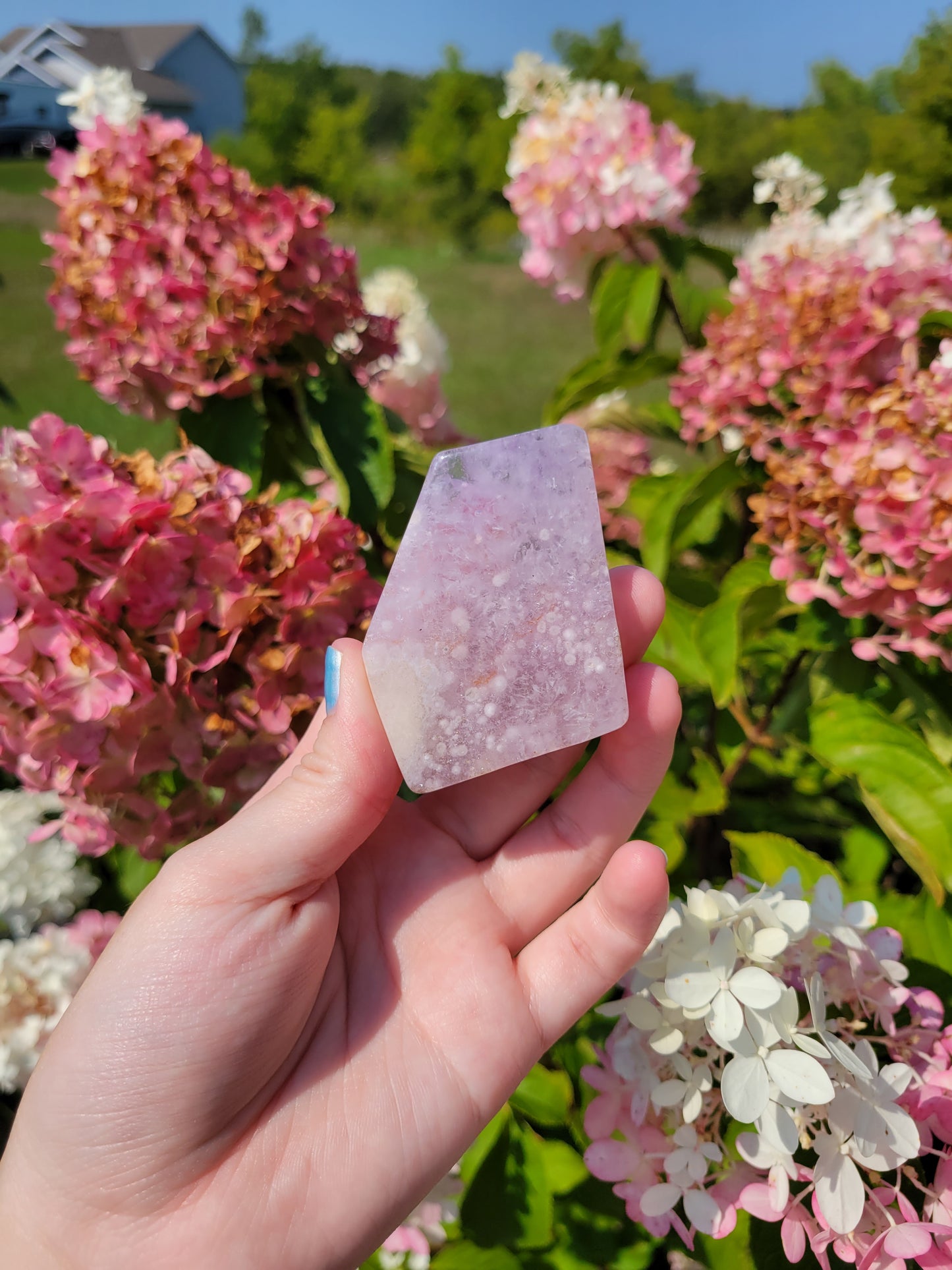 Pink Amethyst Flower Agate Freeform 17FF