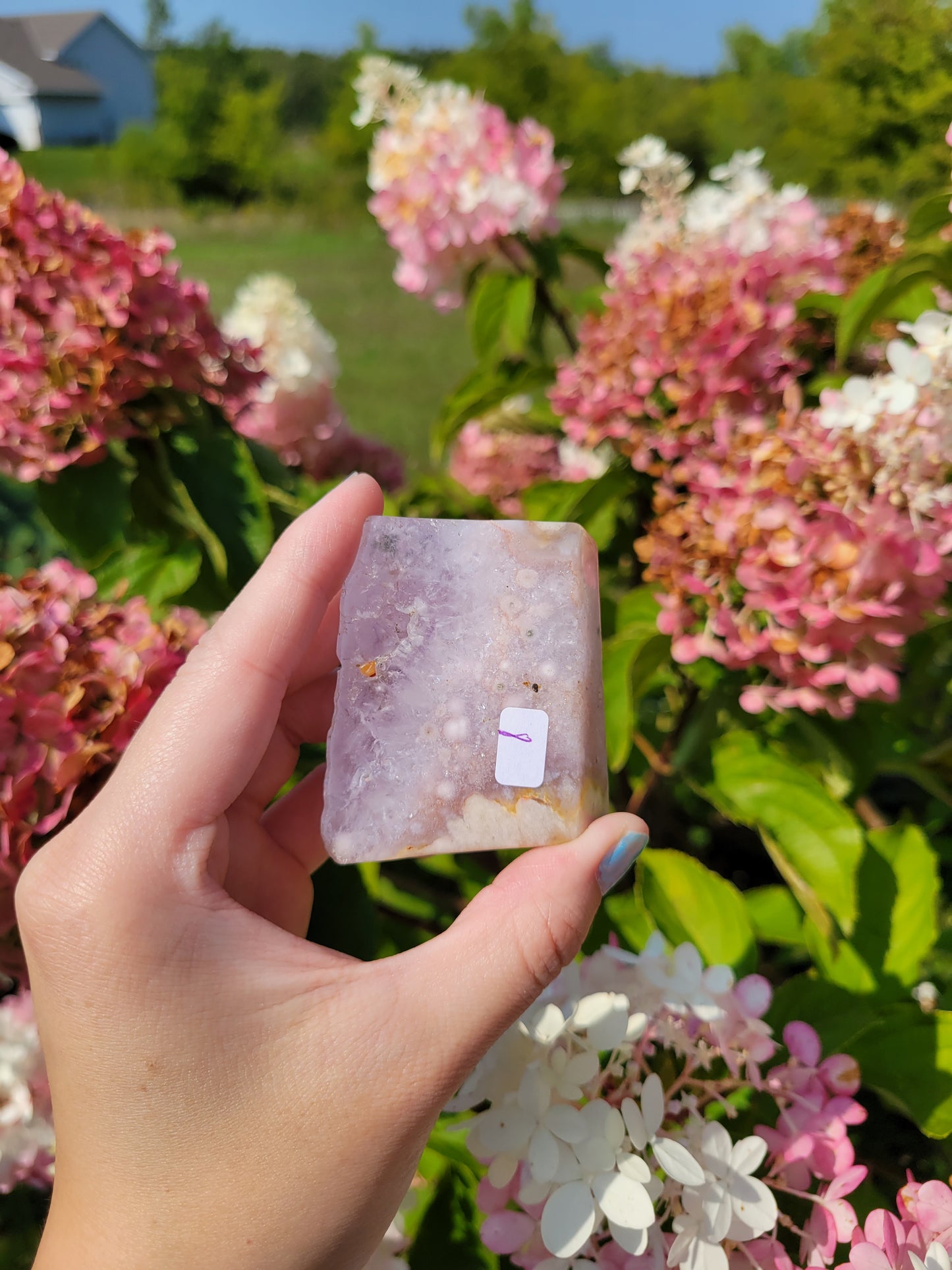 Amethyst Flower Agate Freeform 25FF