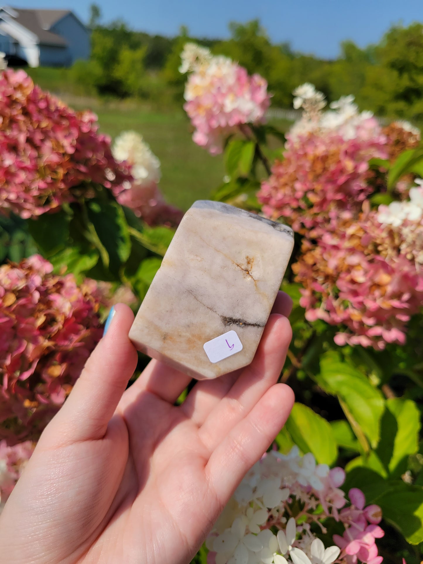 Pink Amethyst Flower Agate Freeform 35FF