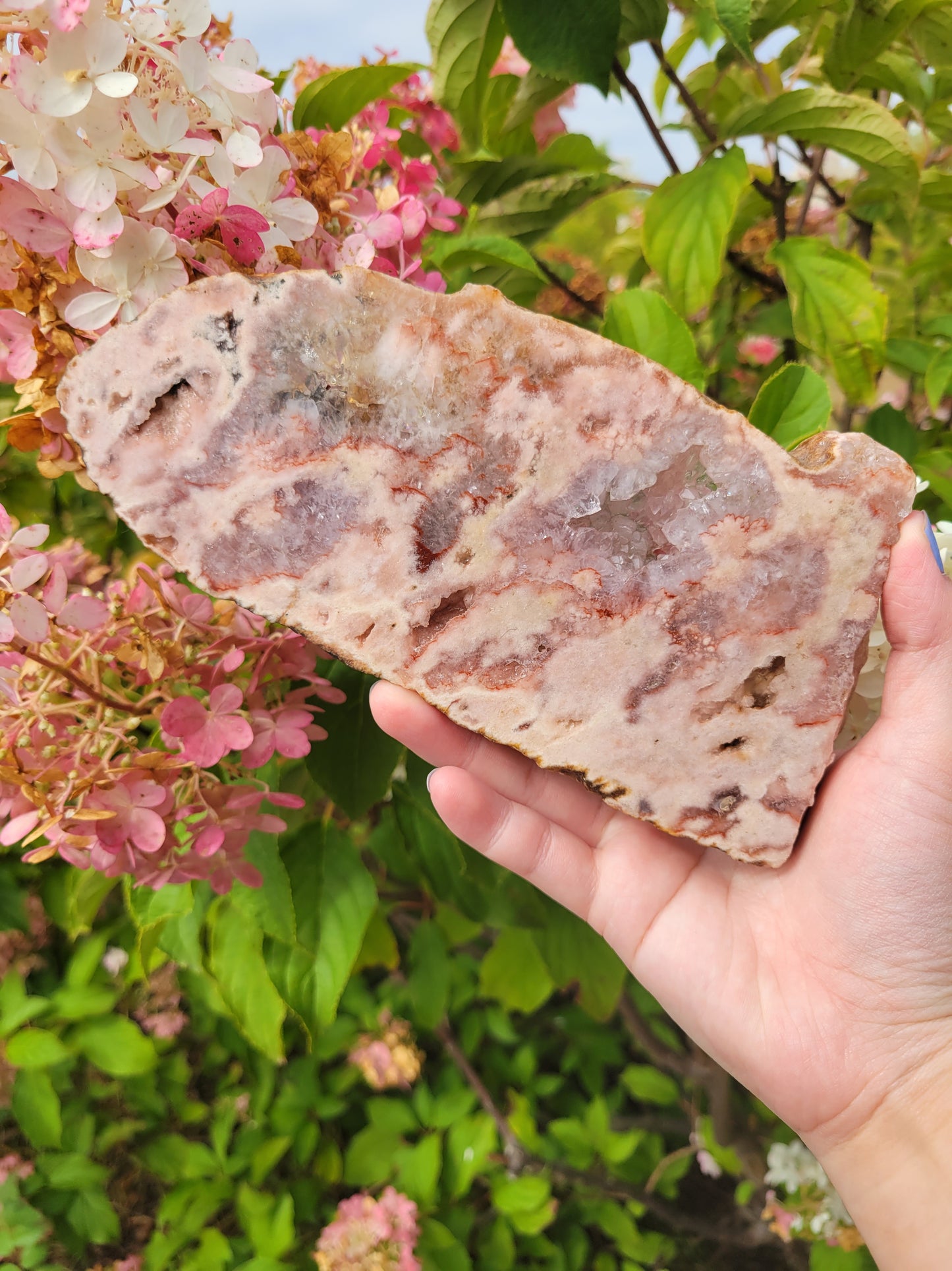 Pink Amethyst Flower Agate Slab 120P