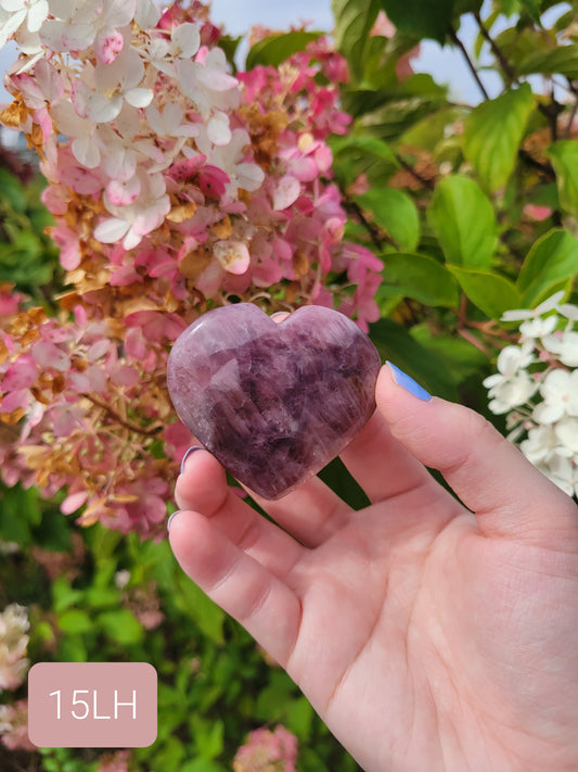 Lavender  Rose Quartz Heart 15LH