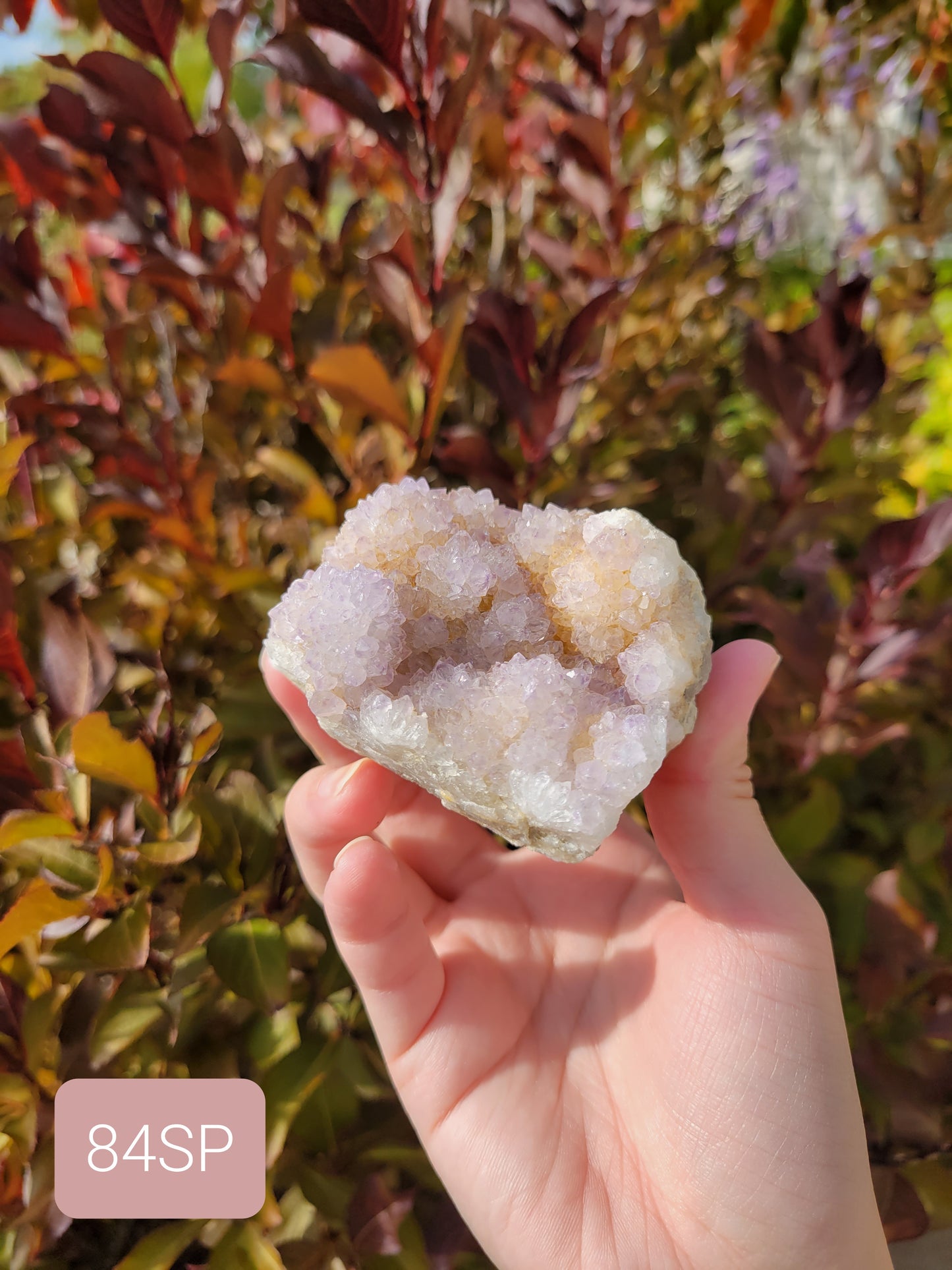 Amethyst Spirit Quartz Cluster 84SP