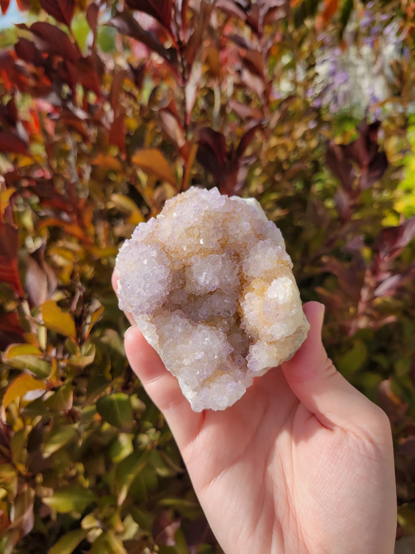 Amethyst Spirit Quartz Cluster 84SP