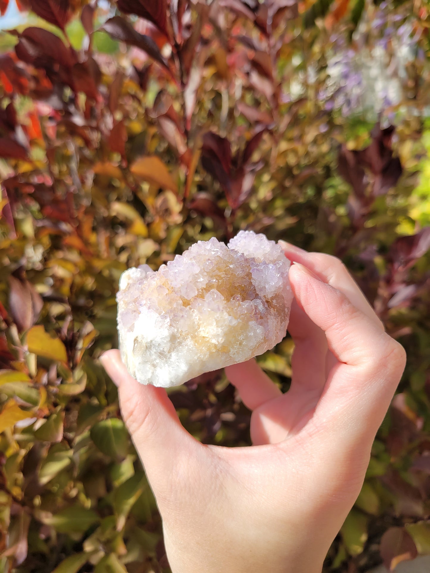 Amethyst Spirit Quartz Cluster 84SP