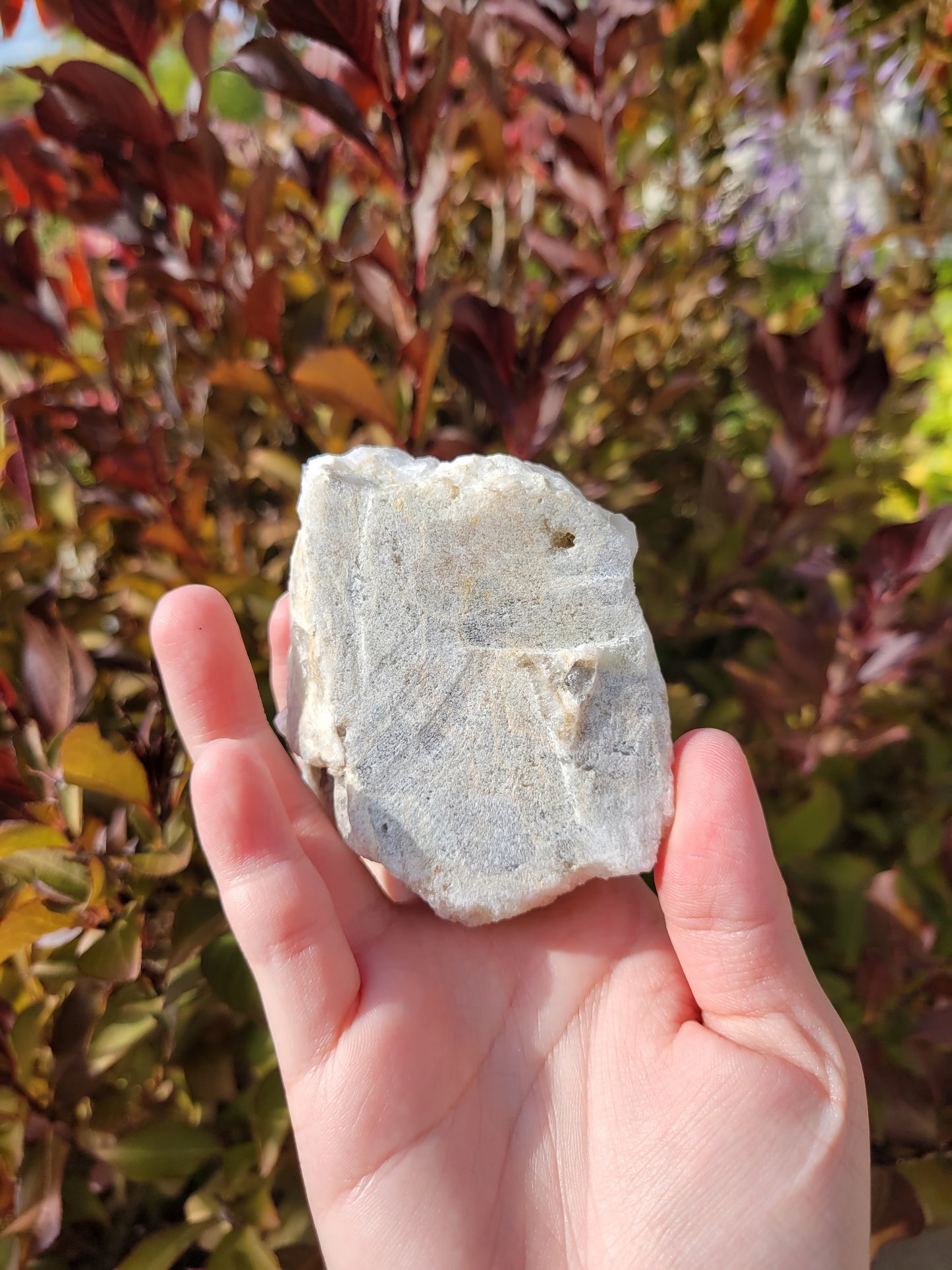 Amethyst Spirit Quartz Cluster 84SP