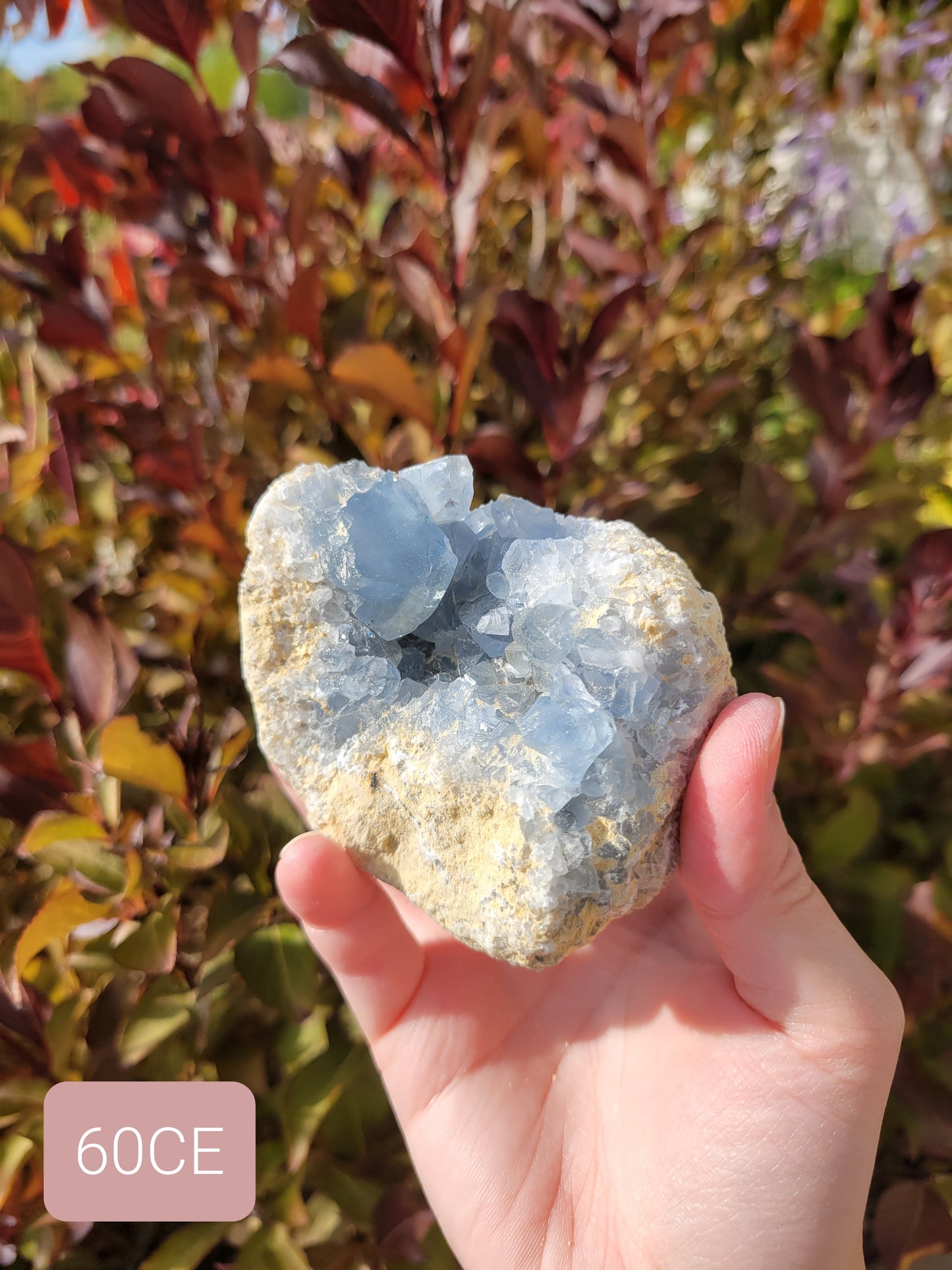 Celestite Celestine Cluster Raw 60CE