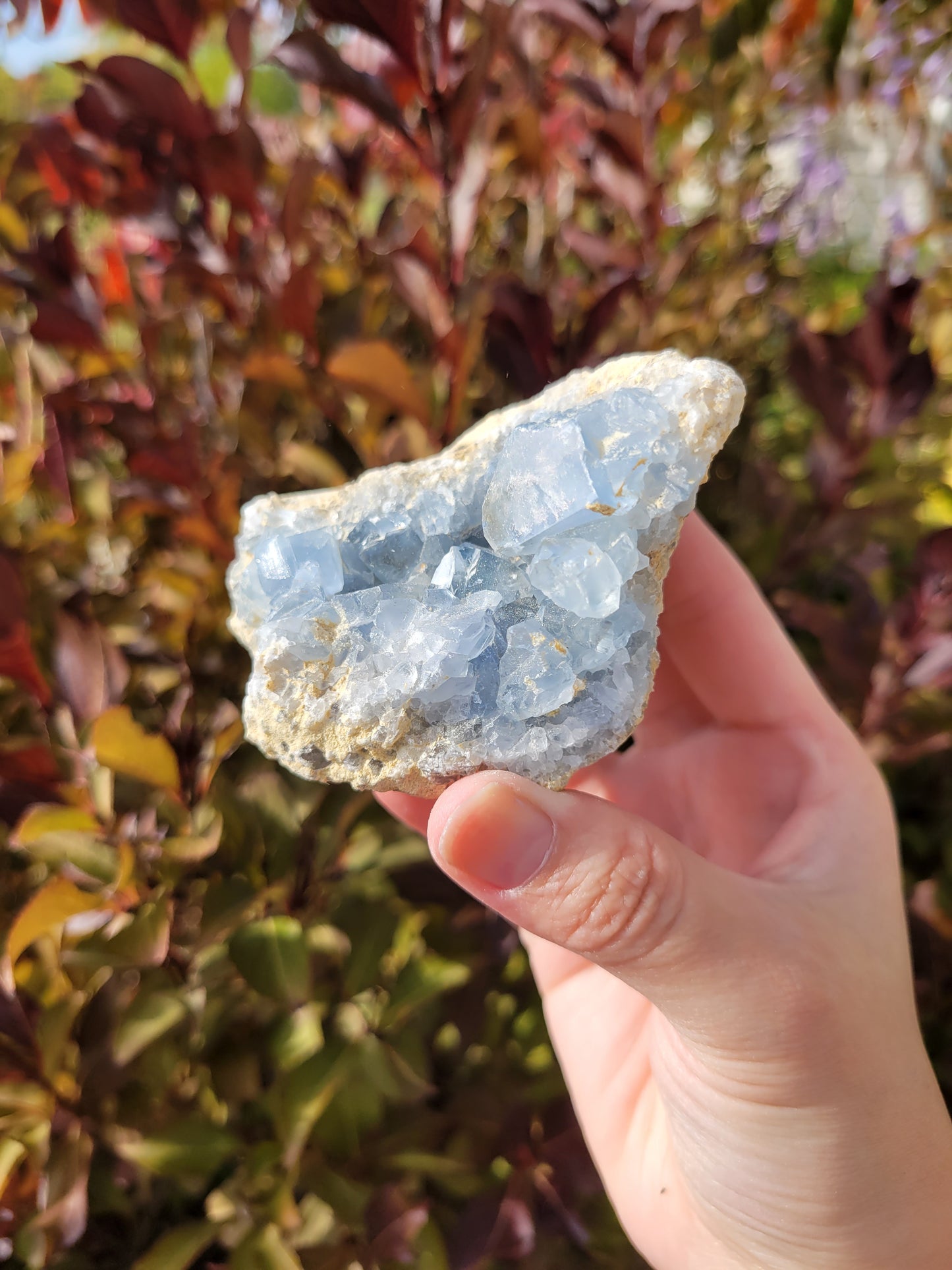 Celestite Celestine Cluster Raw 60CE