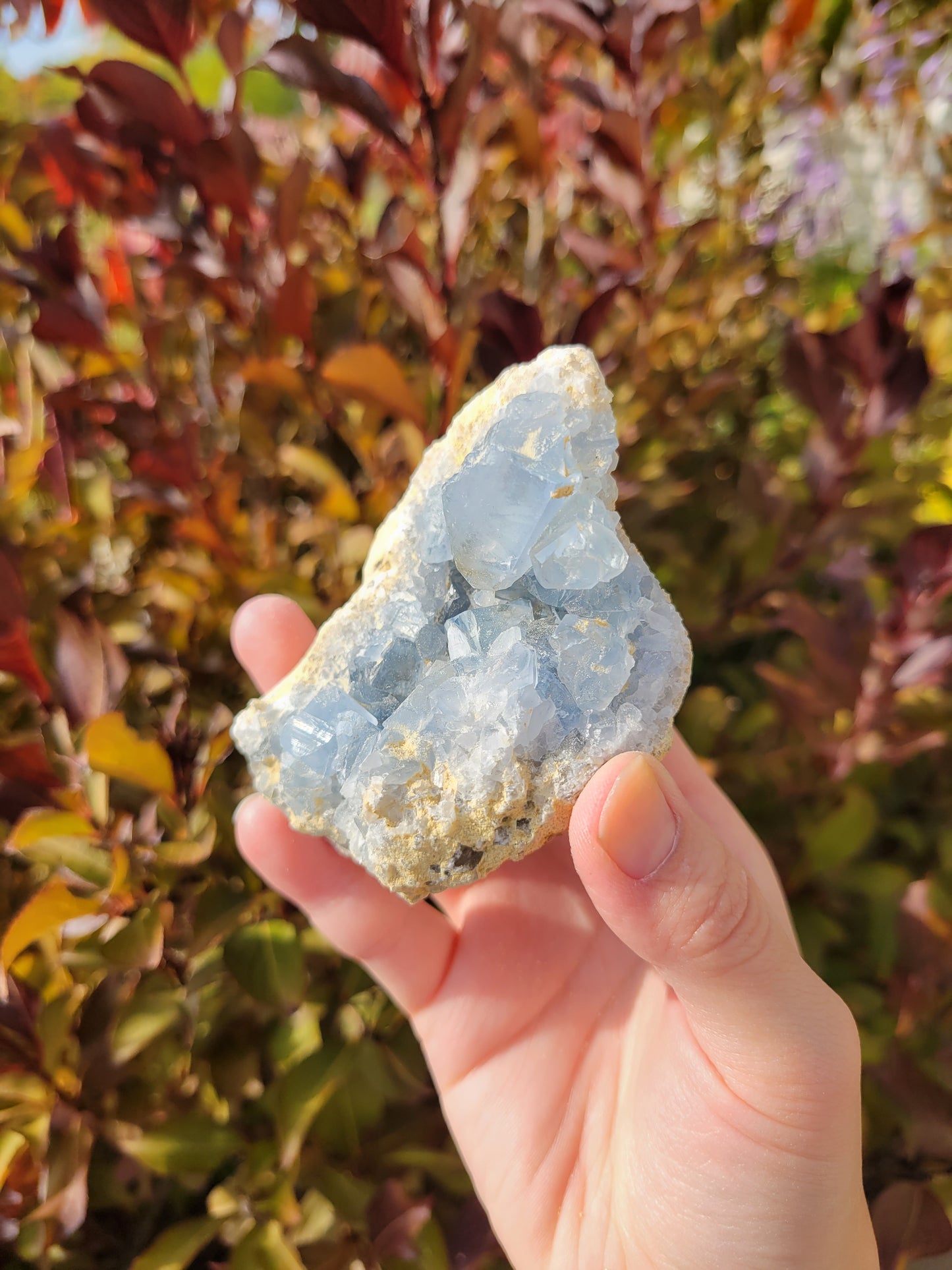 Celestite Celestine Cluster Raw 60CE