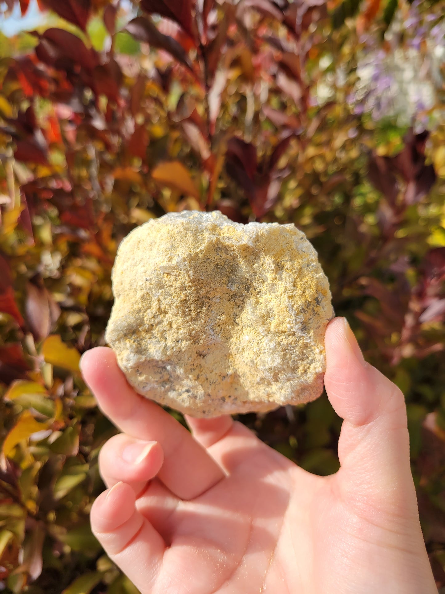 Celestite Celestine Raw Cluster Specimen 65CE