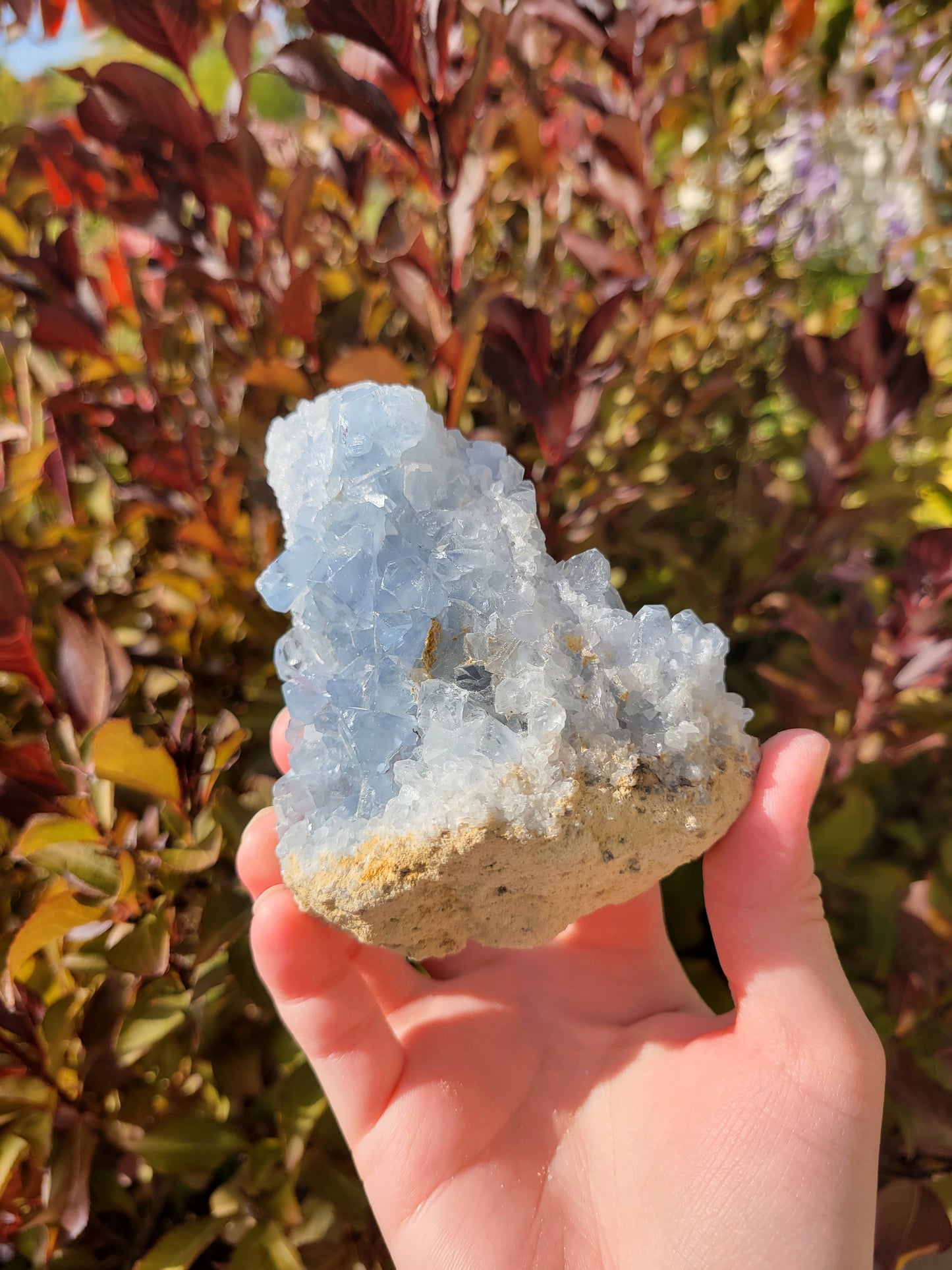 Celestite Celestine Raw Cluster Specimen 65CE