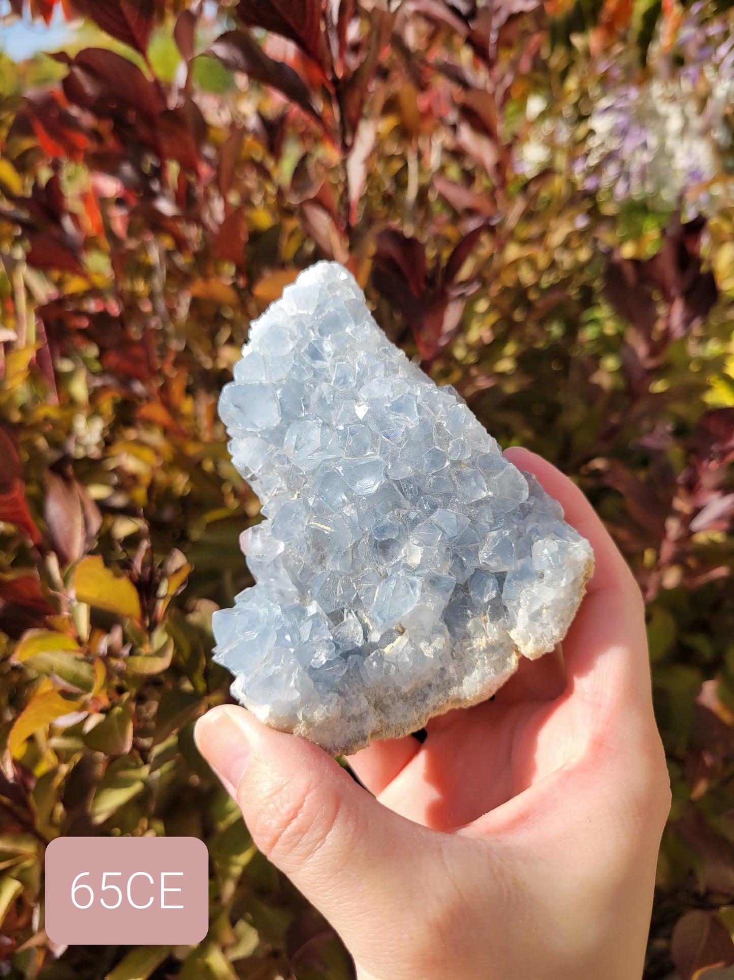 Celestite Celestine Raw Cluster Specimen 65CE