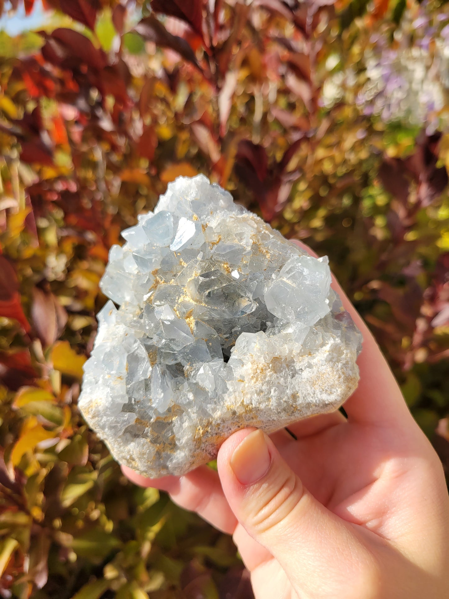 Celestite Celestine Raw Cluster Specimen 69CE