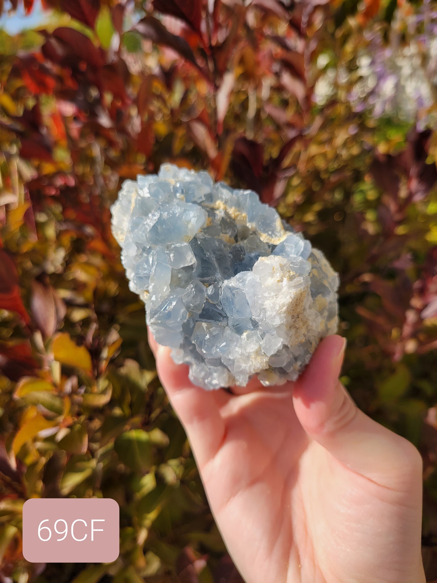 Celestite Celestine Raw Cluster Specimen 69CF